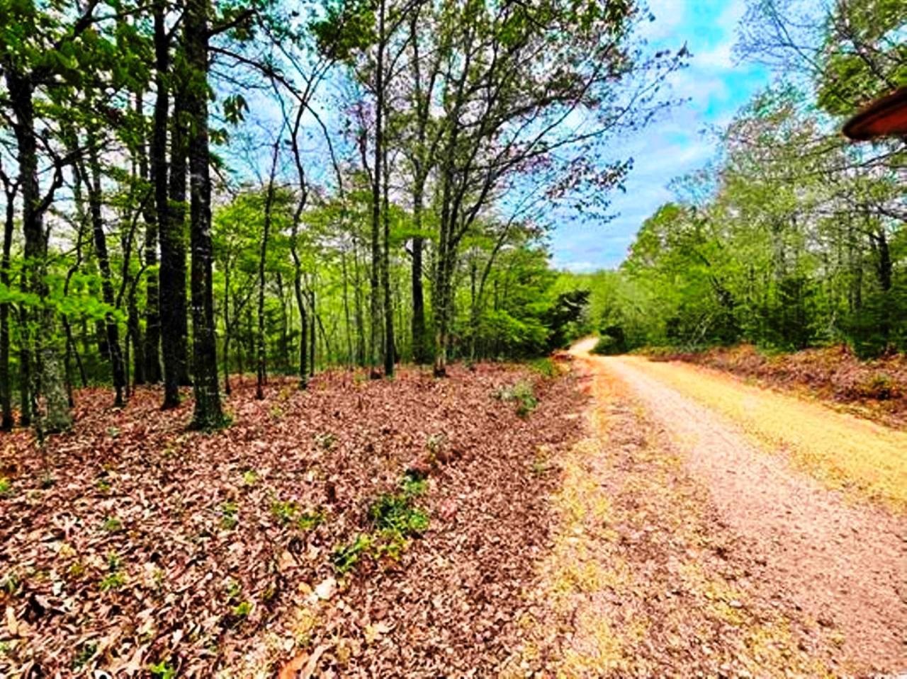 Photo 2 - Vacant Land for sale – 0  Timbercrest   Viola, AR