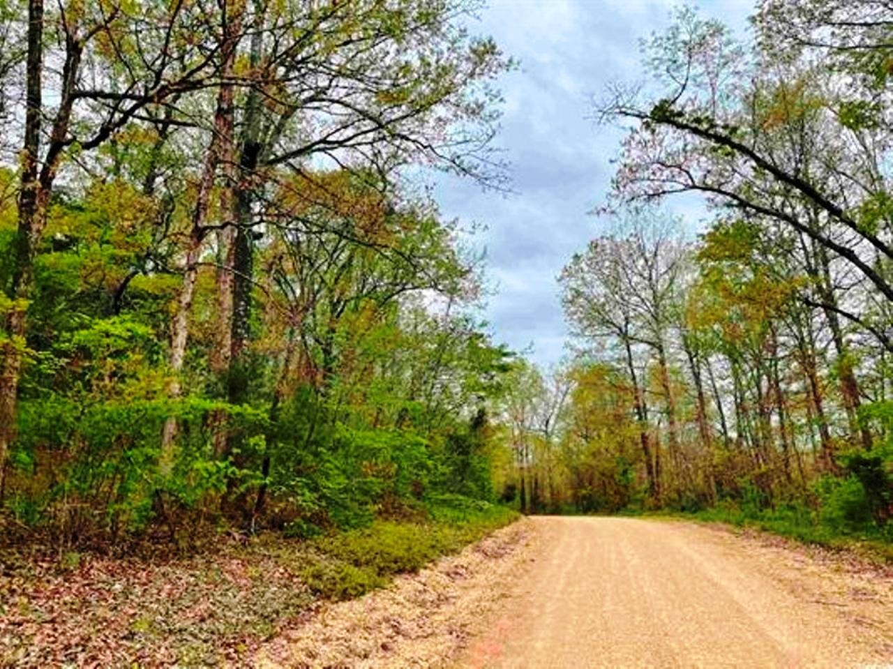Photo 11 - Vacant Land for sale – 0  Timbercrest   Viola, AR