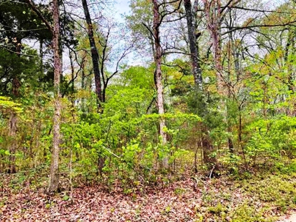 Photo 12 - Vacant Land for sale – 0  Timbercrest   Viola, AR