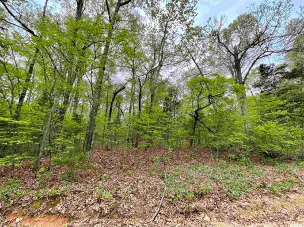 Photo 13 - Vacant Land for sale – 0  Timbercrest   Viola, AR