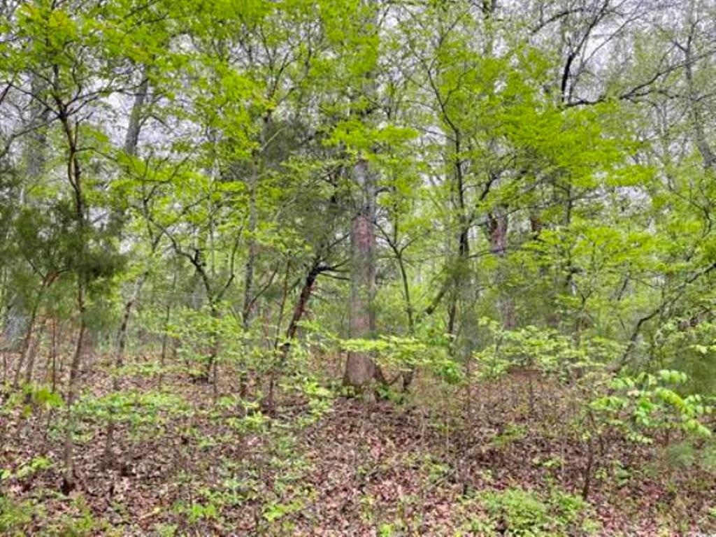 Photo 14 - Vacant Land for sale – 0  Timbercrest   Viola, AR