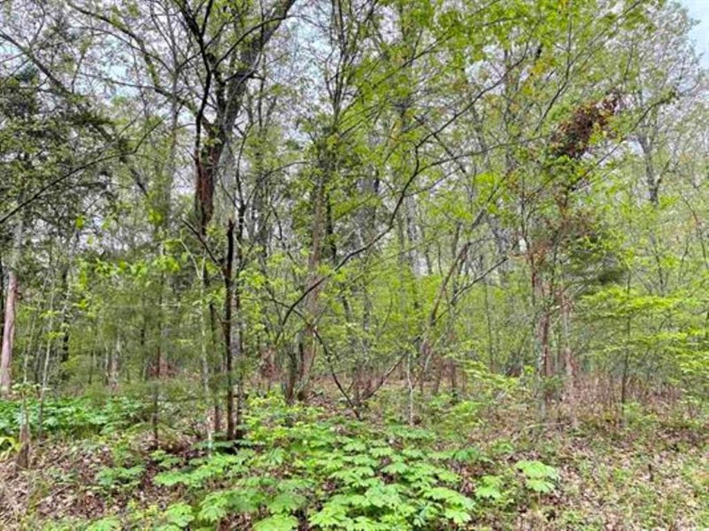 Photo 15 - Vacant Land for sale – 0  Timbercrest   Viola, AR