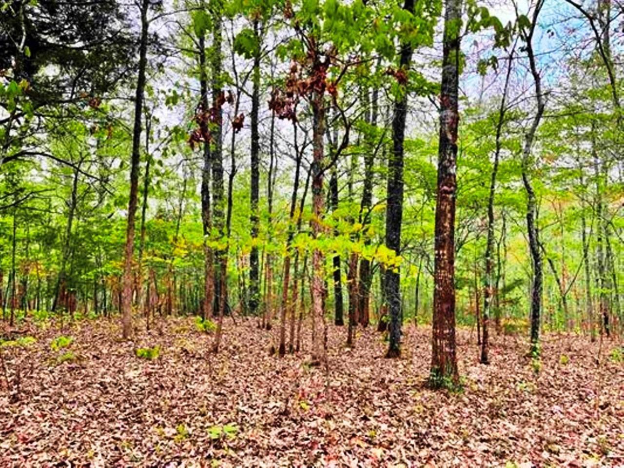 Photo 3 - Vacant Land for sale – 0  Timbercrest   Viola, AR