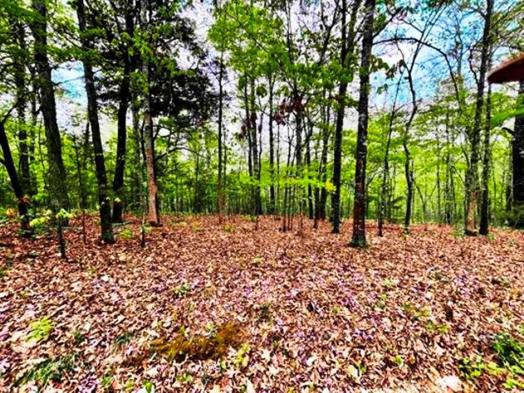 Photo 4 - Vacant Land for sale – 0  Timbercrest   Viola, AR