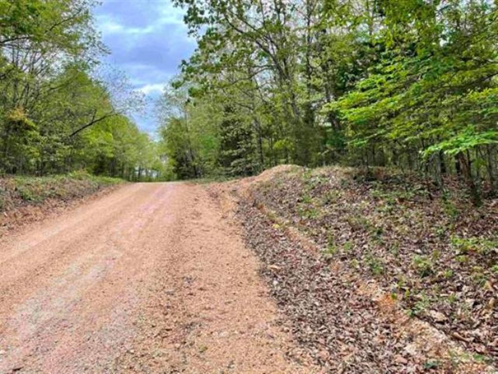 Photo 5 - Vacant Land for sale – 0  Timbercrest   Viola, AR