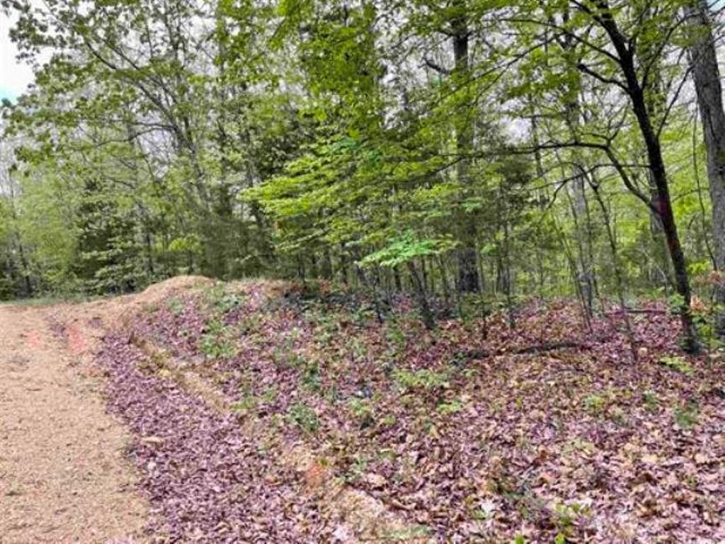 Photo 6 - Vacant Land for sale – 0  Timbercrest   Viola, AR