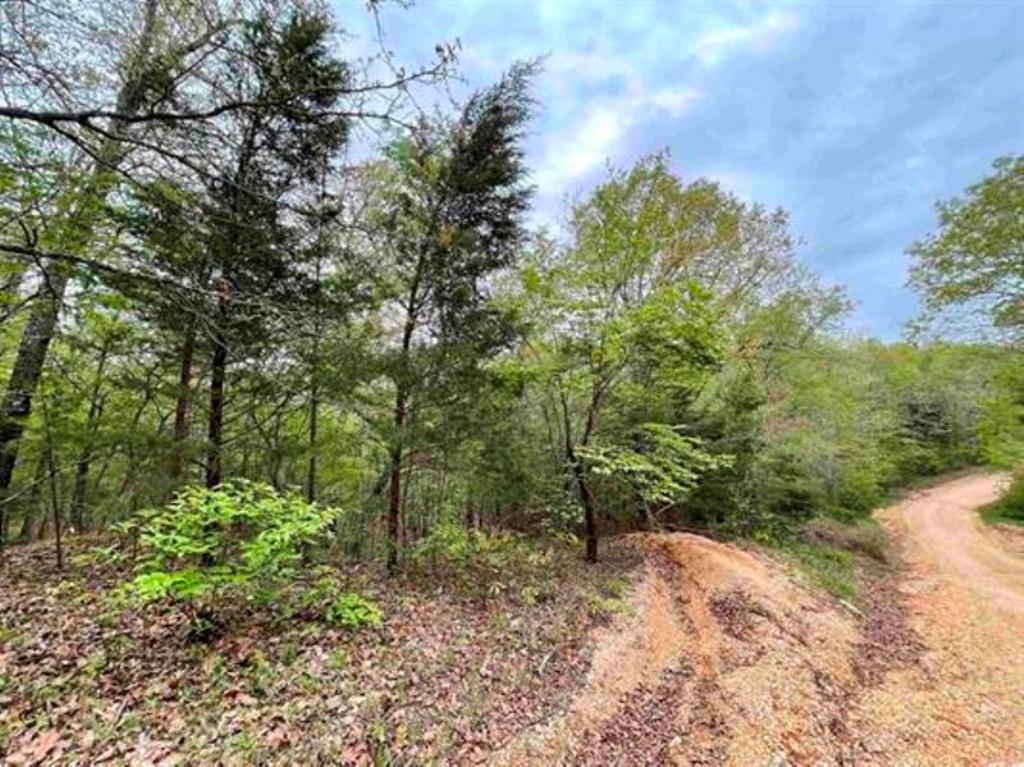 Photo 7 - Vacant Land for sale – 0  Timbercrest   Viola, AR