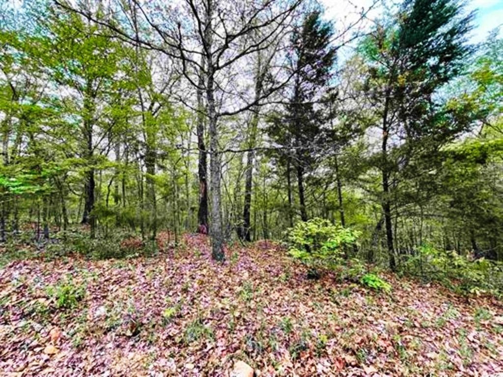Photo 8 - Vacant Land for sale – 0  Timbercrest   Viola, AR