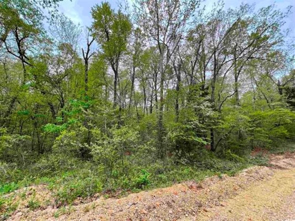 Photo 9 - Vacant Land for sale – 0  Timbercrest   Viola, AR