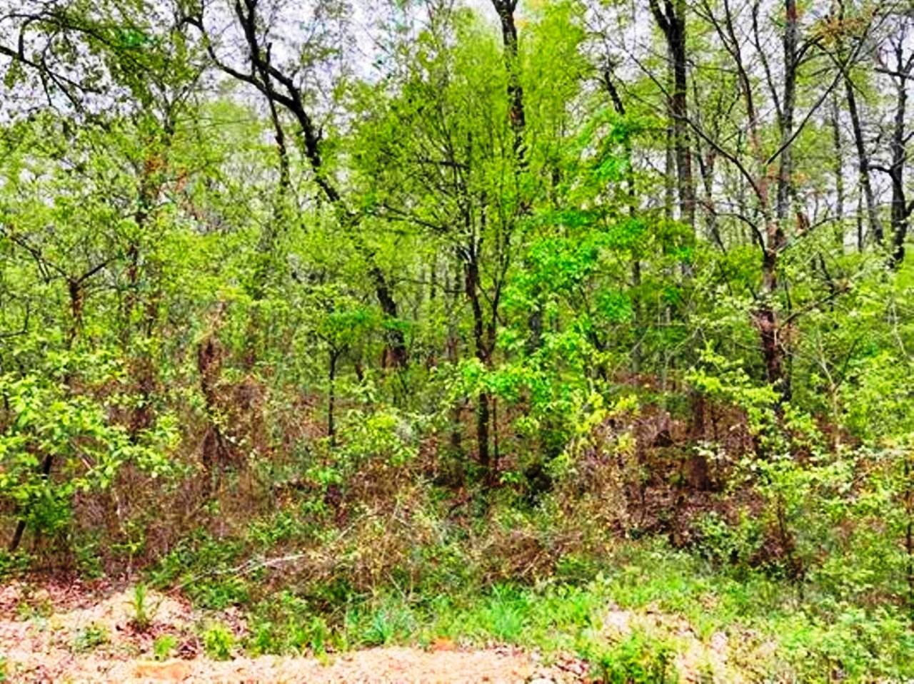 Photo 10 - Vacant Land for sale – 0  Timbercrest   Viola, AR