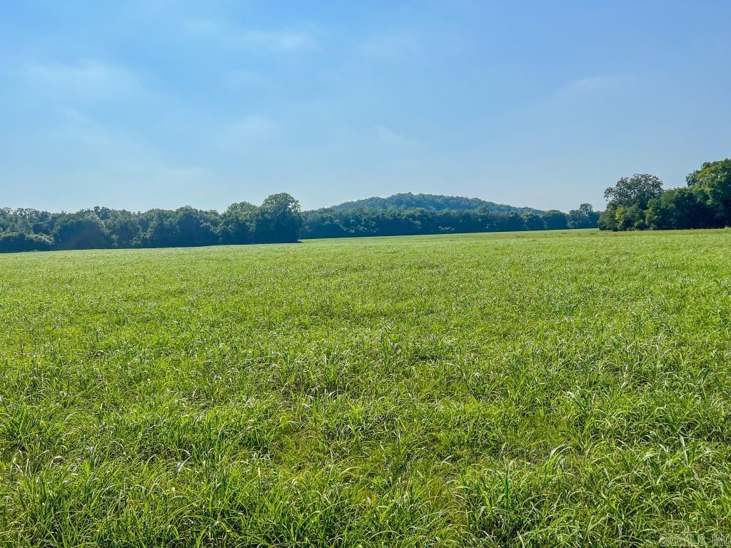 Photo 40 - Residential for sale – 785  Strawberry River Road   Smithville, AR