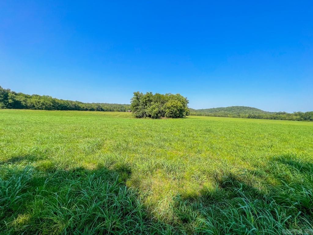 Photo 41 - Residential for sale – 785  Strawberry River Road   Smithville, AR