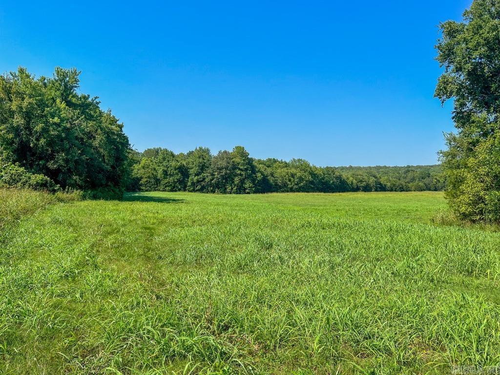 Photo 42 - Residential for sale – 785  Strawberry River Road   Smithville, AR