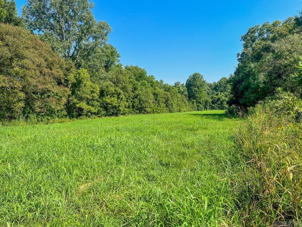 Photo 43 - Residential for sale – 785  Strawberry River Road   Smithville, AR