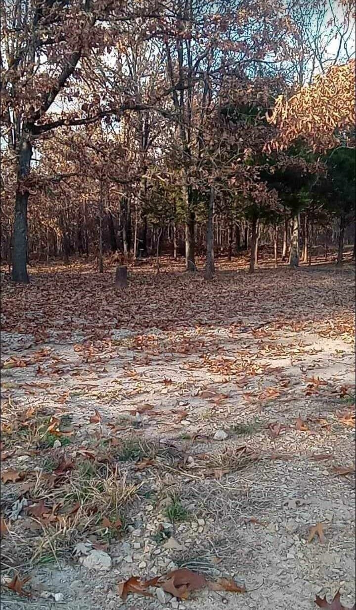 Photo 11 - Vacant Land for sale – 5996  9 Mile Ridge   Hardy, AR