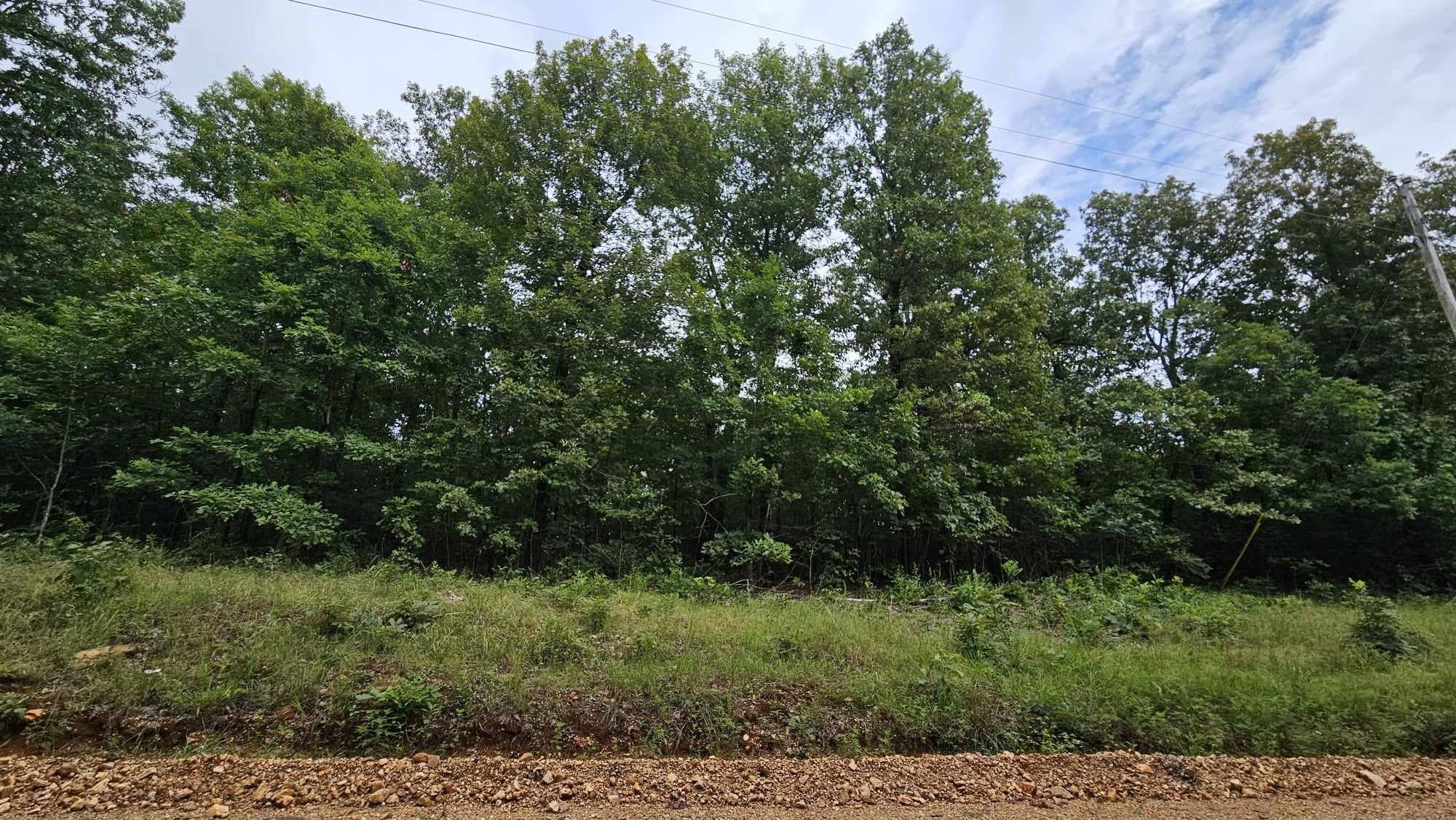 Photo 5 - Vacant Land for sale – 5996  9 Mile Ridge   Hardy, AR
