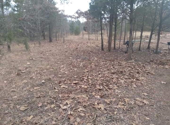 Photo 10 - Vacant Land for sale – 5996  9 Mile Ridge   Hardy, AR