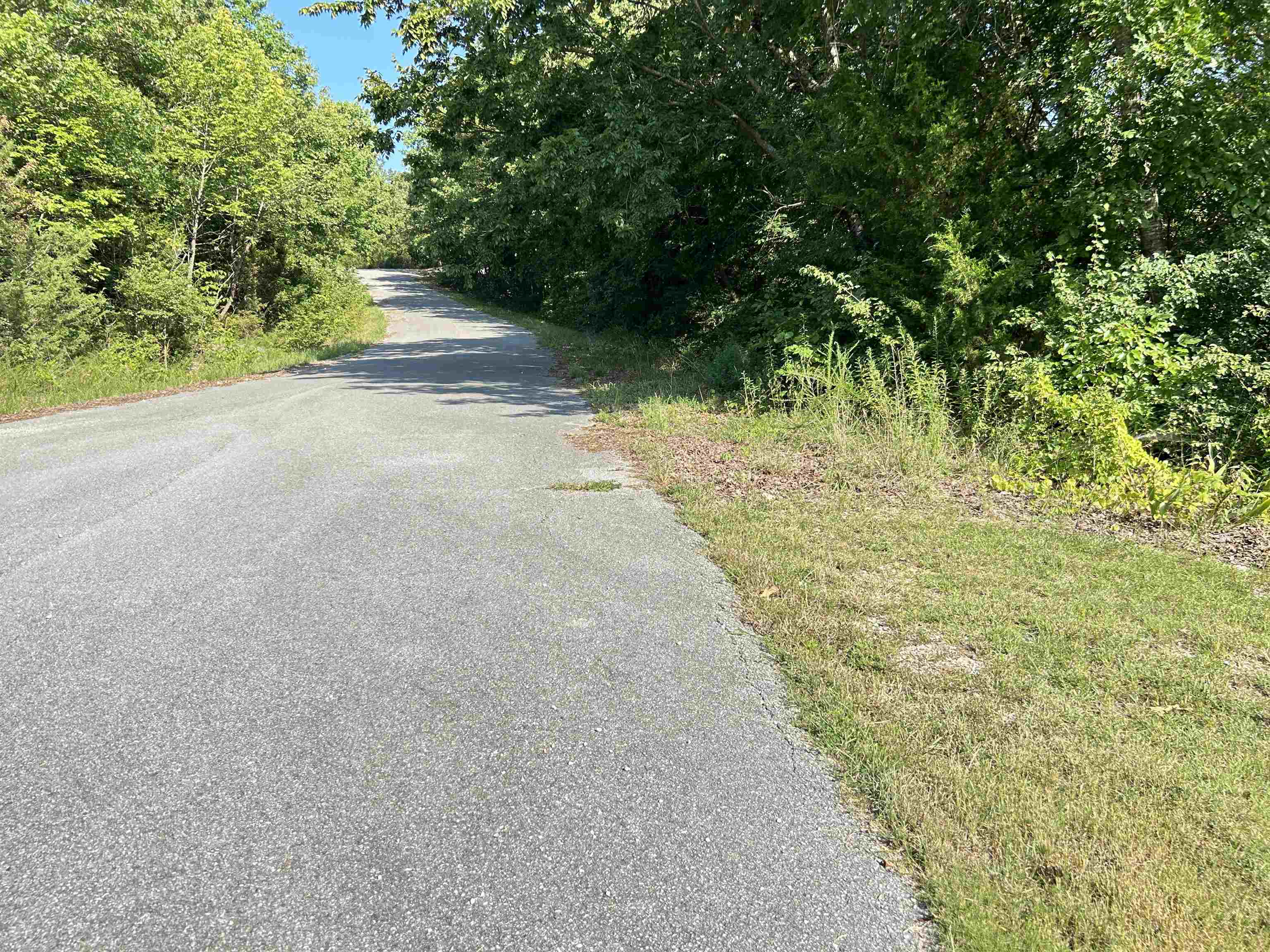 Photo 10 - Vacant Land for sale – 903  West Wind Point   Horseshoe Bend, AR
