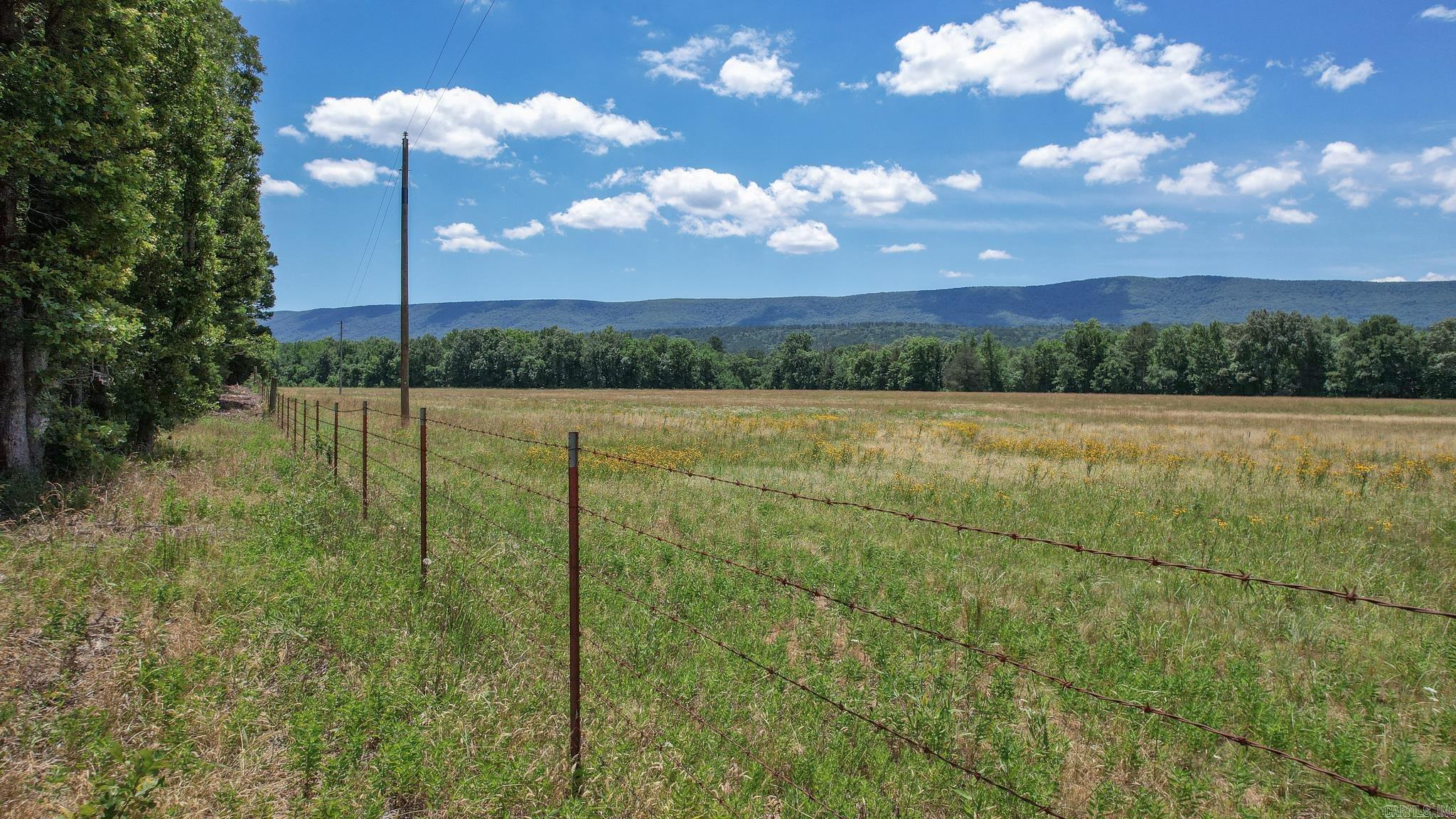 Photo 14 - Vacant Land for sale – 35871  Blackfork   Mena, AR