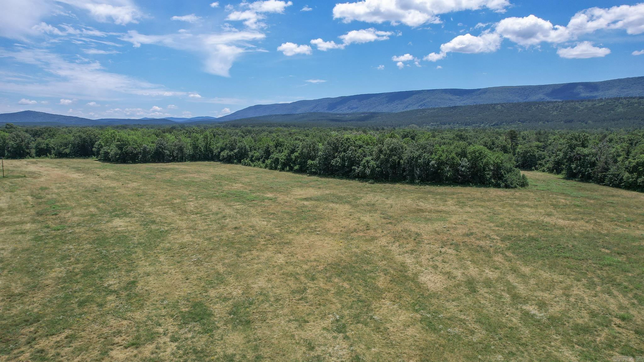 Photo 16 - Vacant Land for sale – 35871  Blackfork   Mena, AR