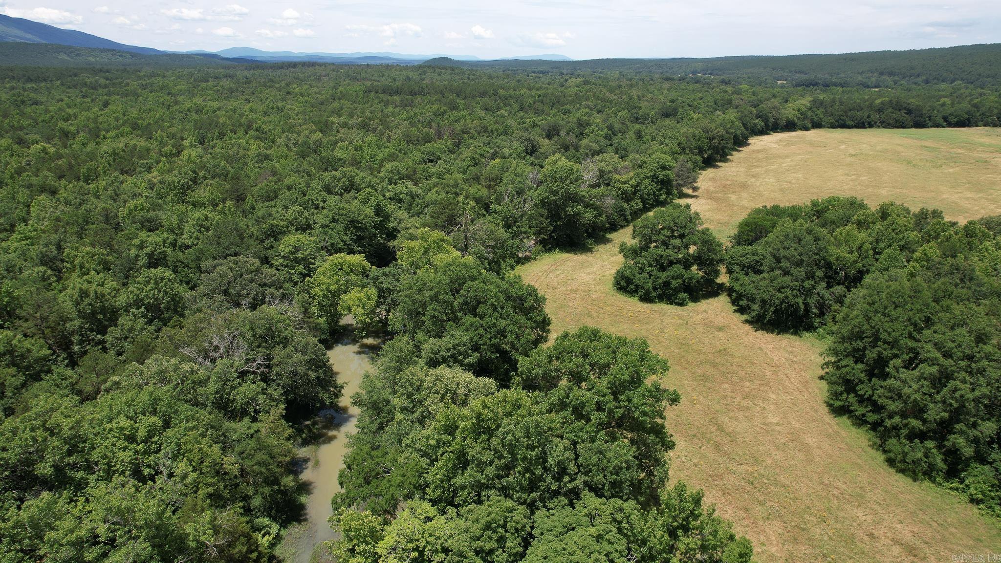 Photo 19 - Vacant Land for sale – 35871  Blackfork   Mena, AR
