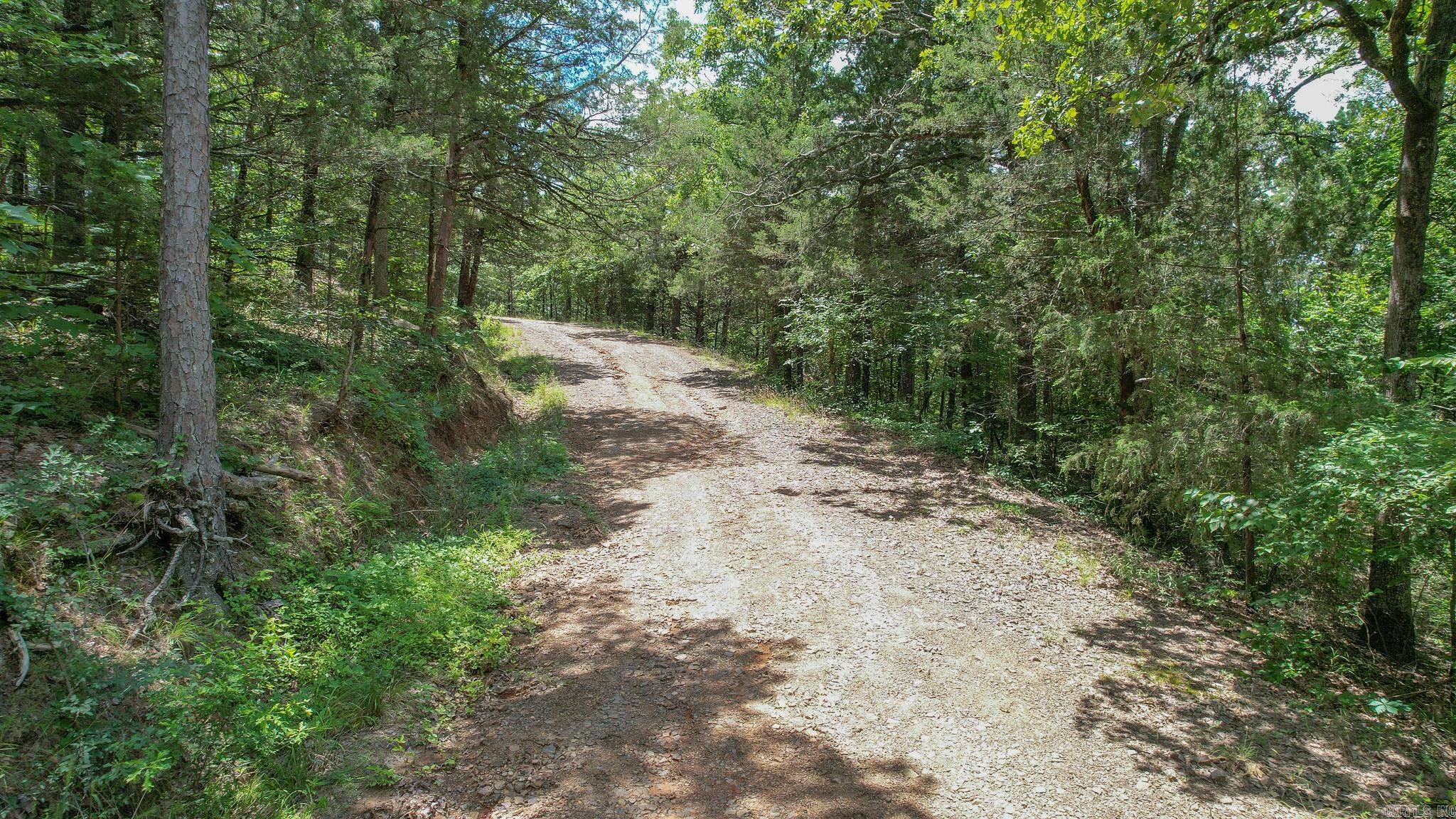 Photo 35 - Vacant Land for sale – 35871  Blackfork   Mena, AR