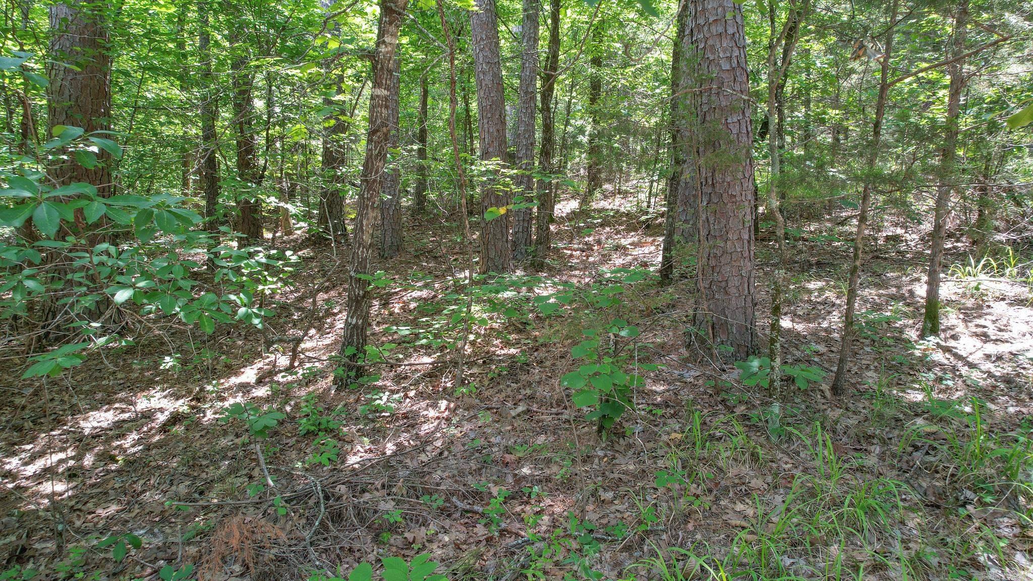 Photo 37 - Vacant Land for sale – 35871  Blackfork   Mena, AR