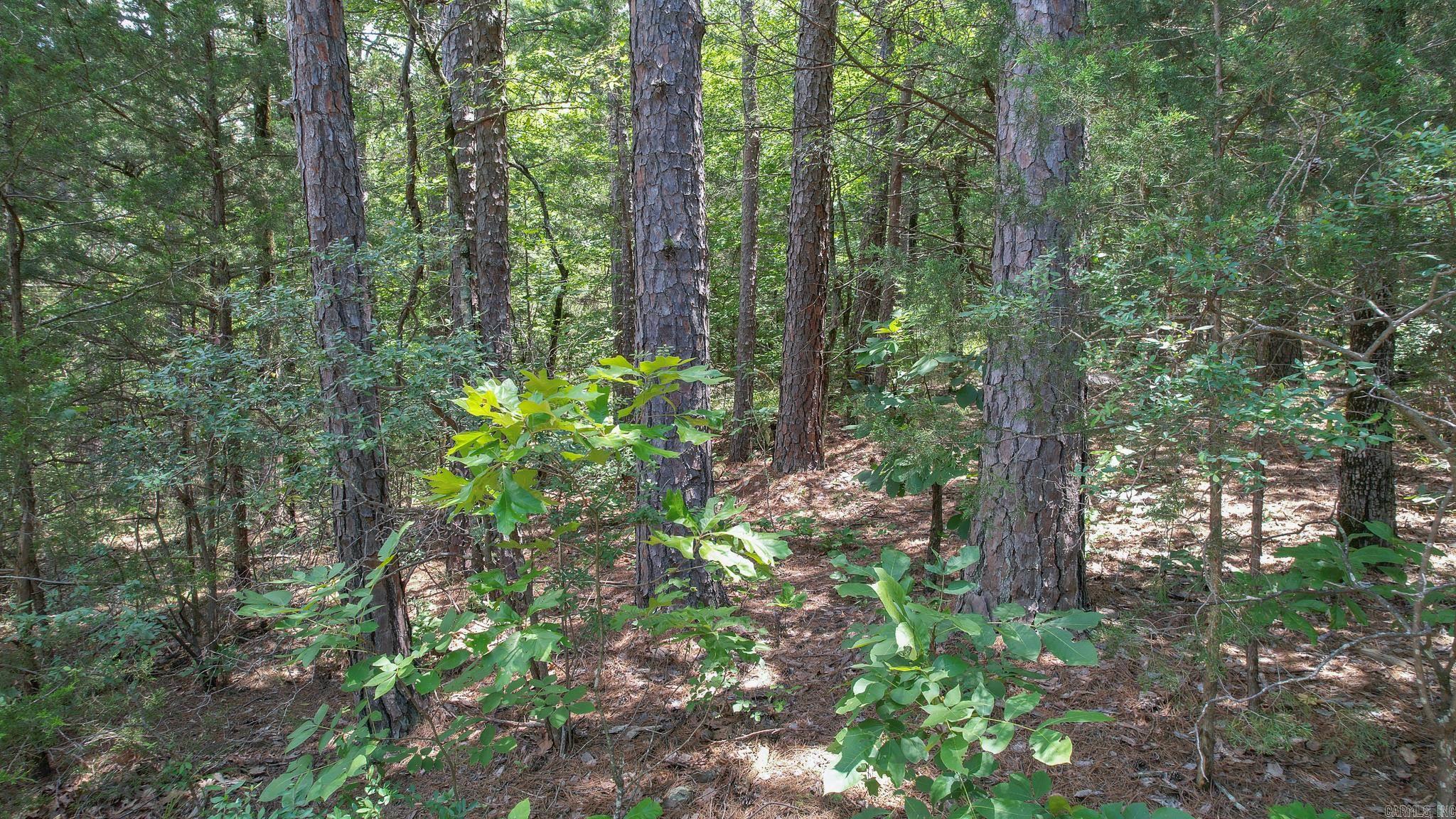 Photo 38 - Vacant Land for sale – 35871  Blackfork   Mena, AR