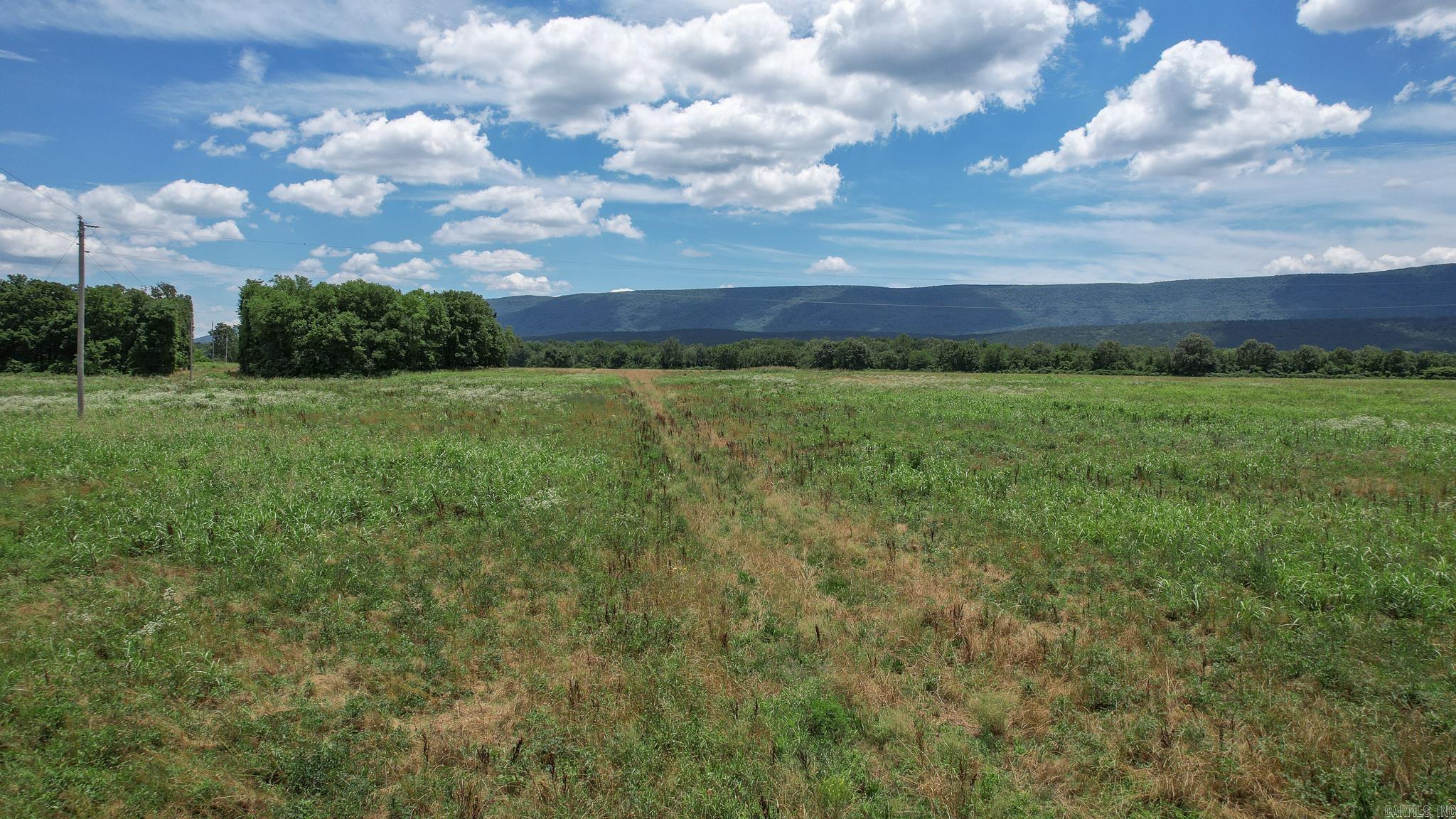 Photo 42 - Vacant Land for sale – 35871  Blackfork   Mena, AR