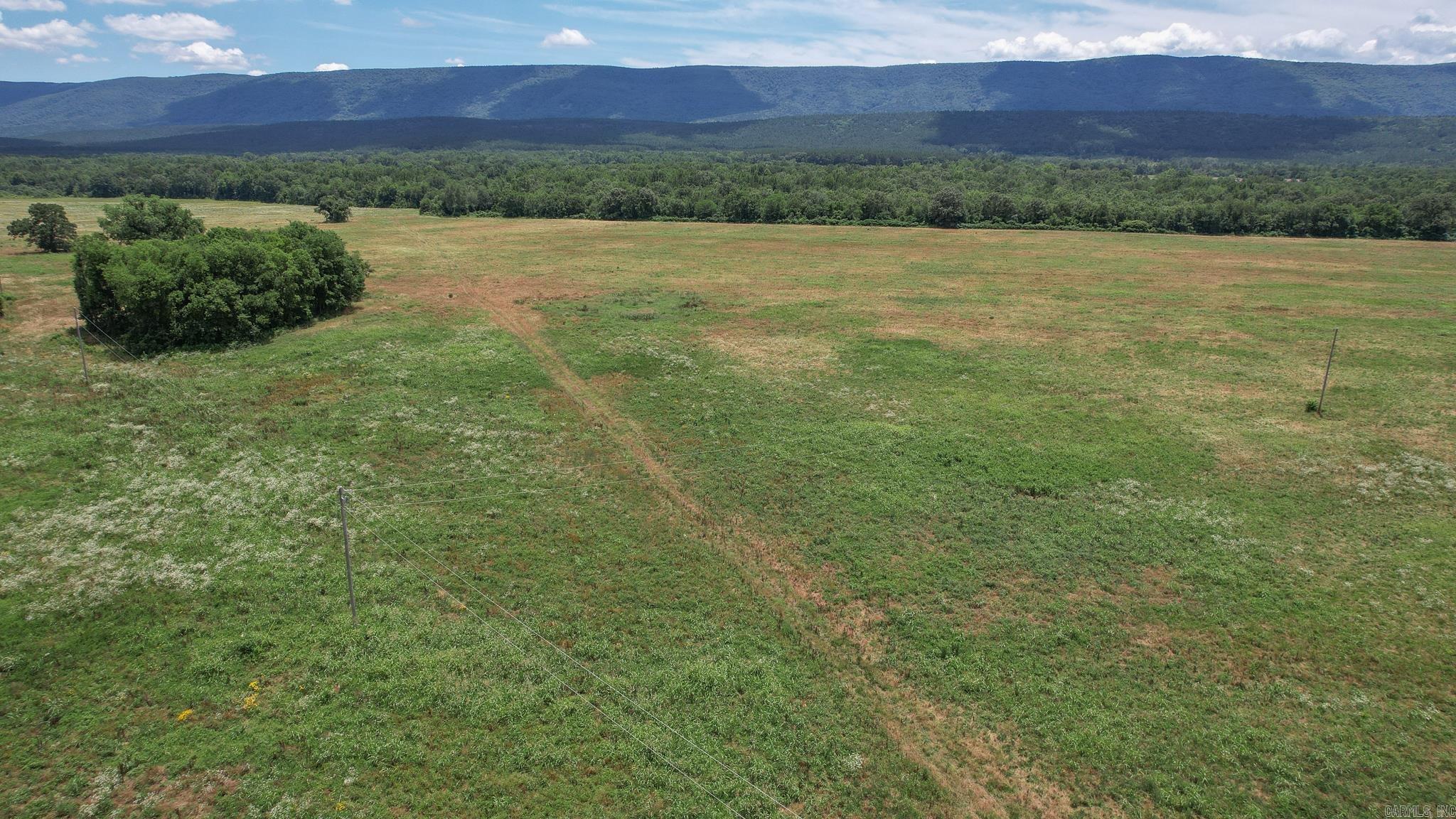 Photo 43 - Vacant Land for sale – 35871  Blackfork   Mena, AR