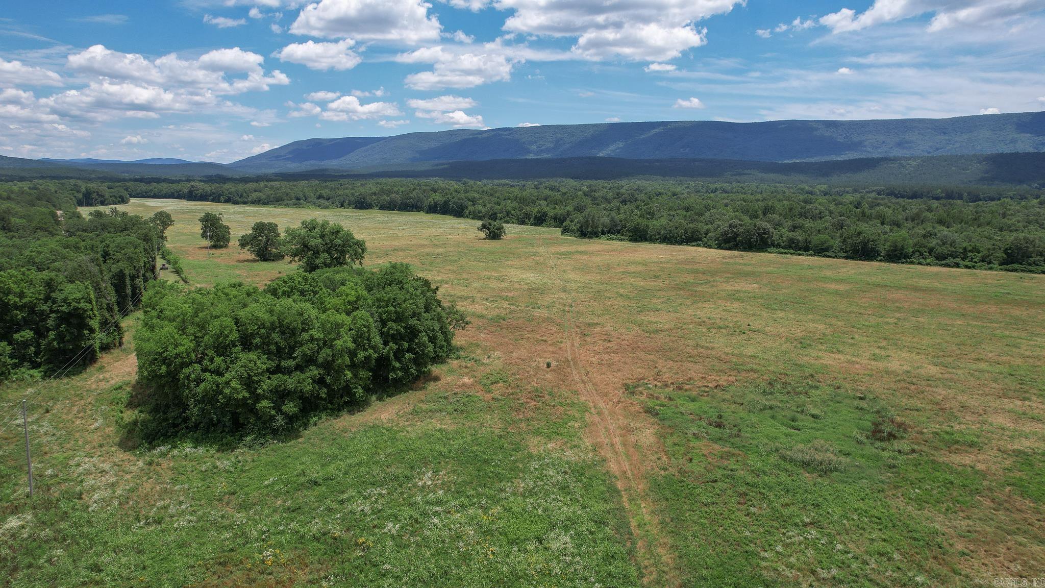 Photo 46 - Vacant Land for sale – 35871  Blackfork   Mena, AR