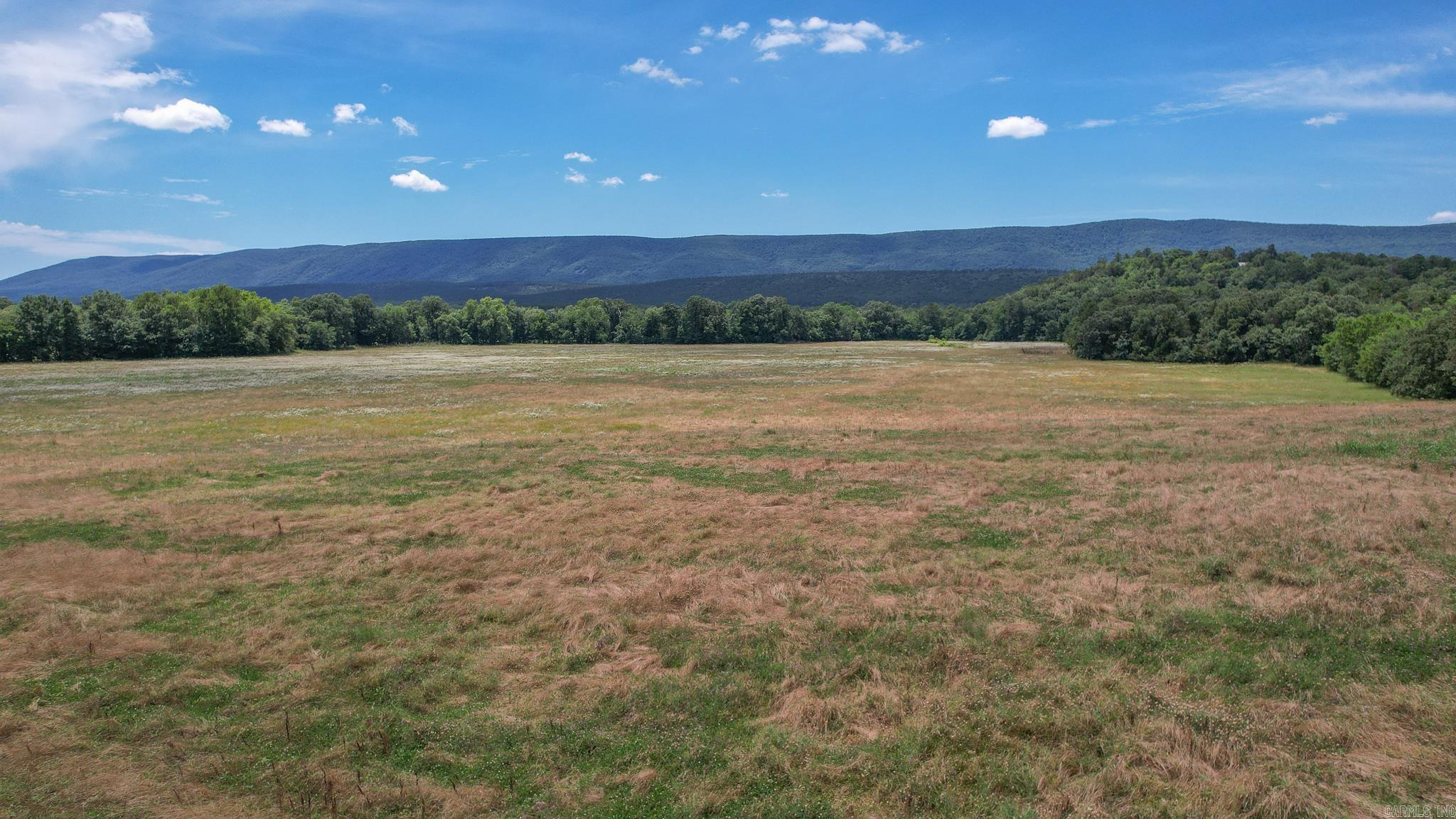 Photo 10 - Vacant Land for sale – 35871  Blackfork   Mena, AR