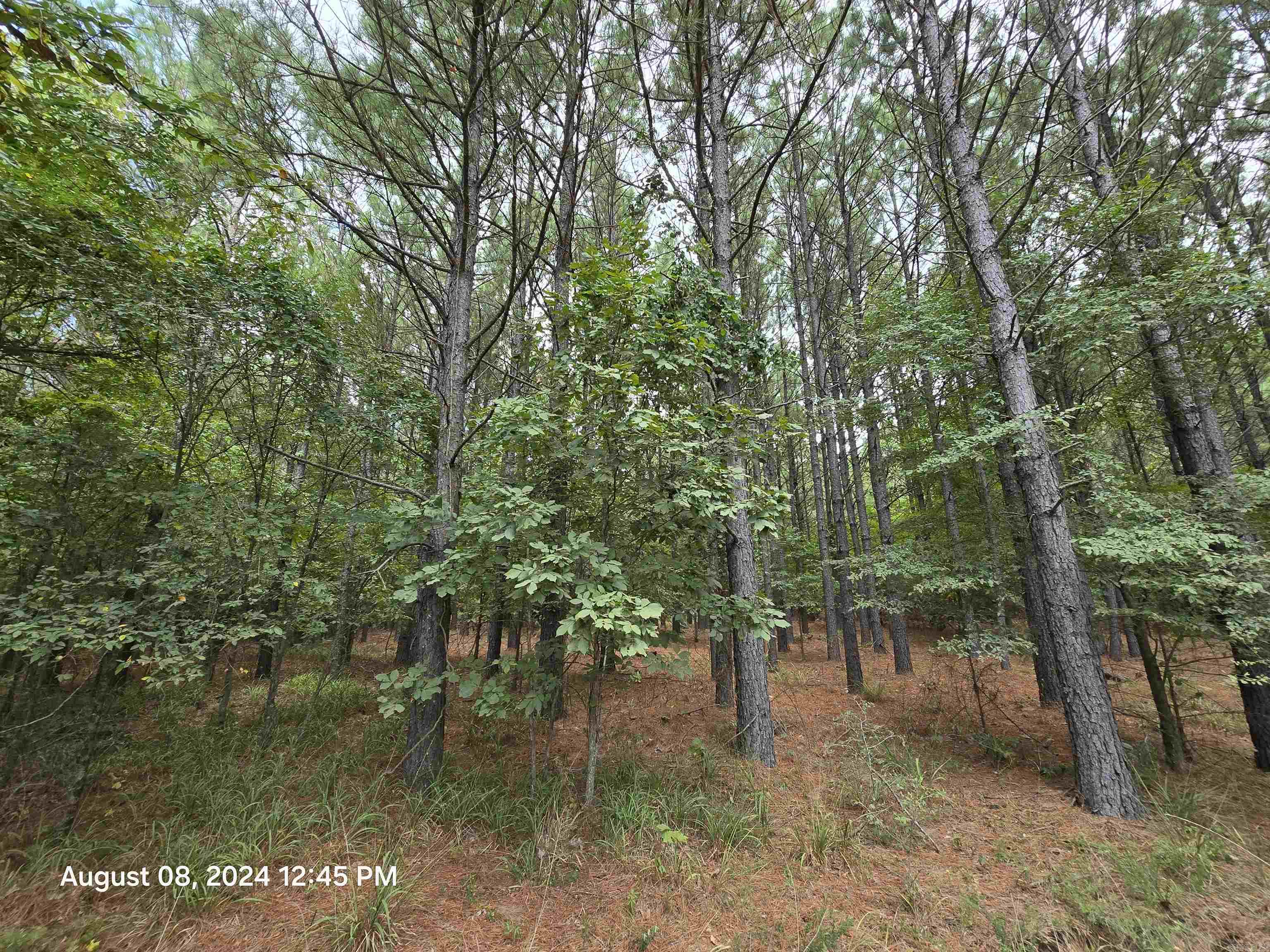 Photo 11 - Vacant Land for sale – 0  Goat Neck   Bradford, AR