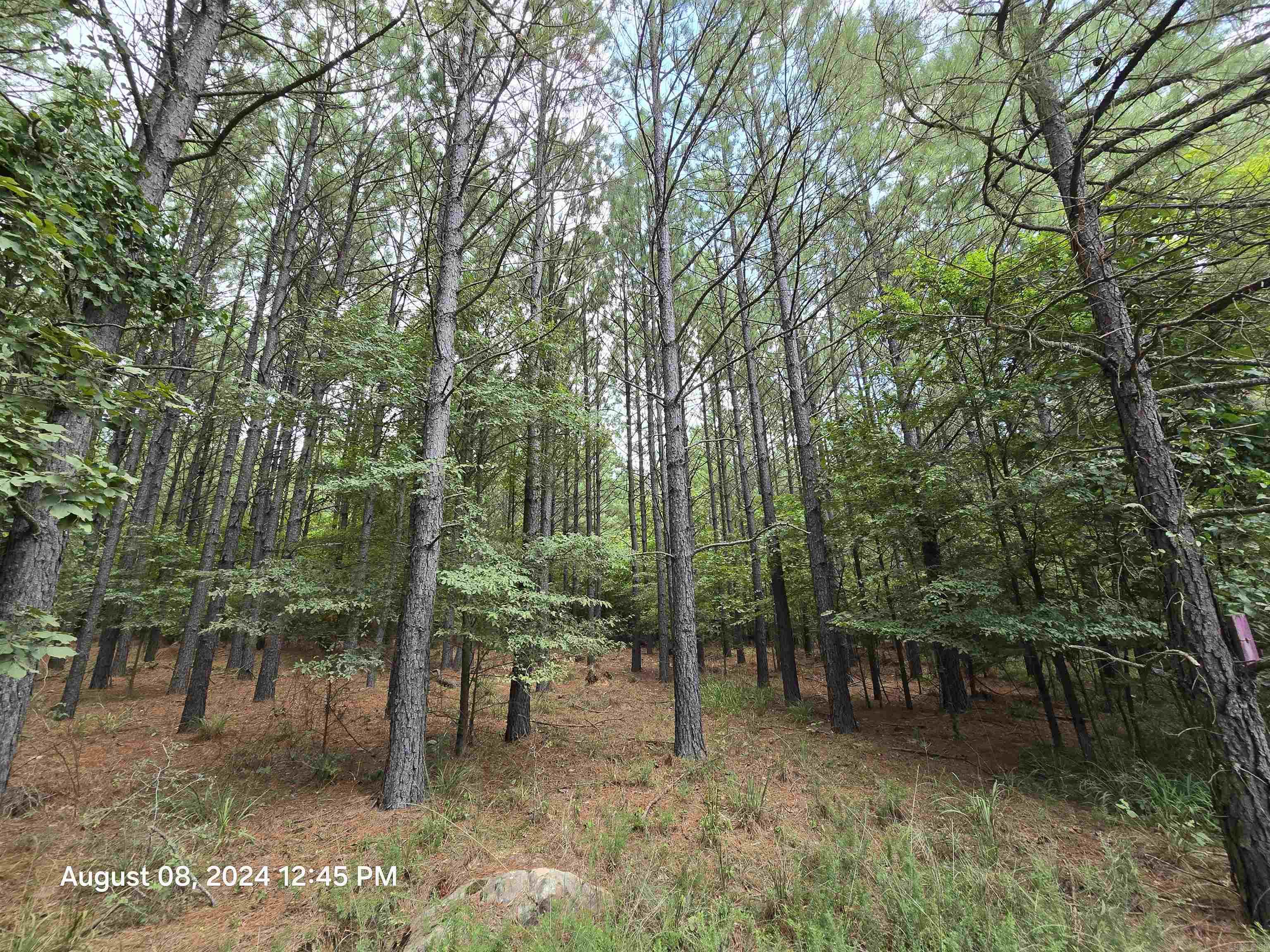 Photo 12 - Vacant Land for sale – 0  Goat Neck   Bradford, AR
