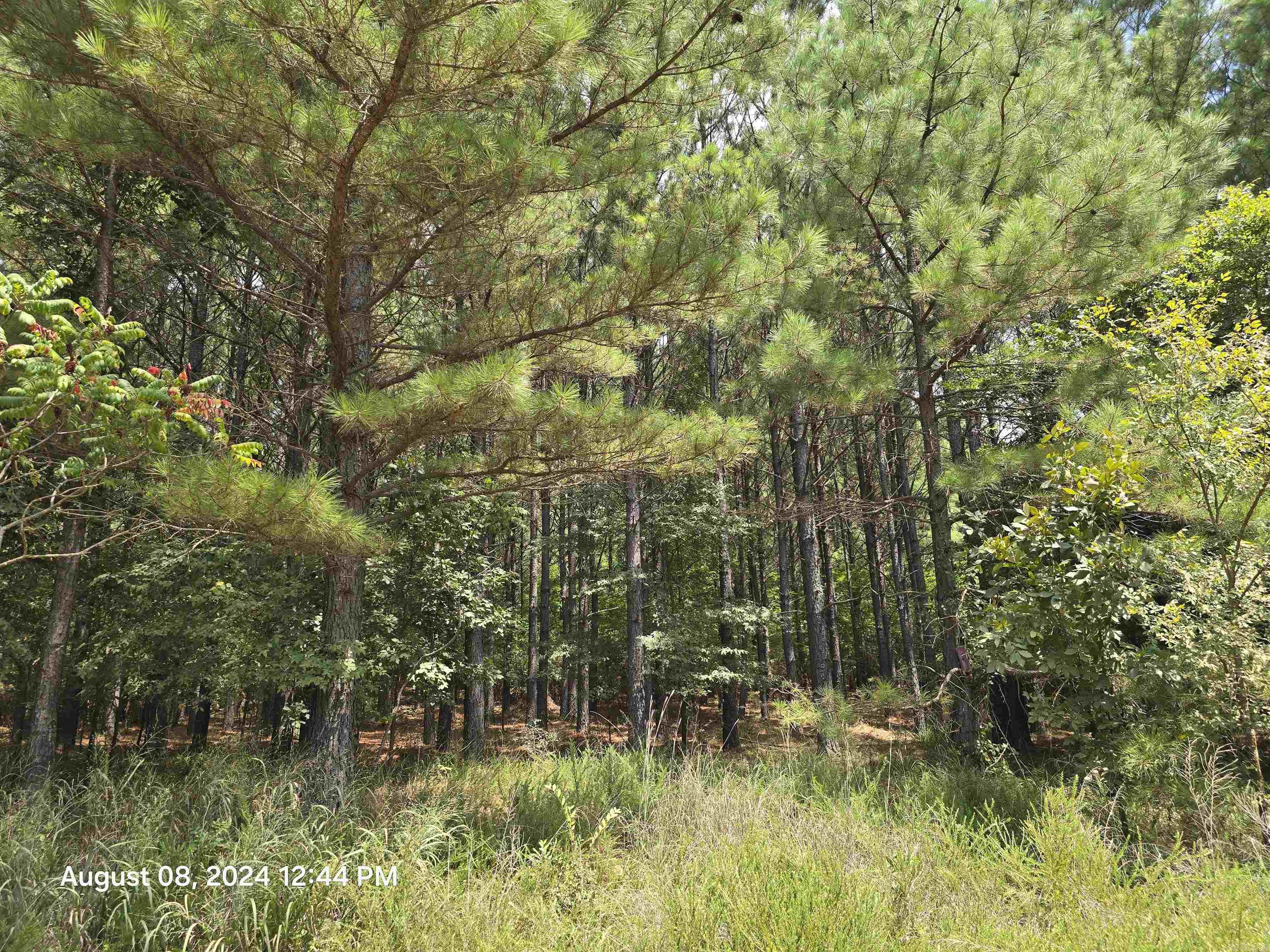 Photo 13 - Vacant Land for sale – 0  Goat Neck   Bradford, AR
