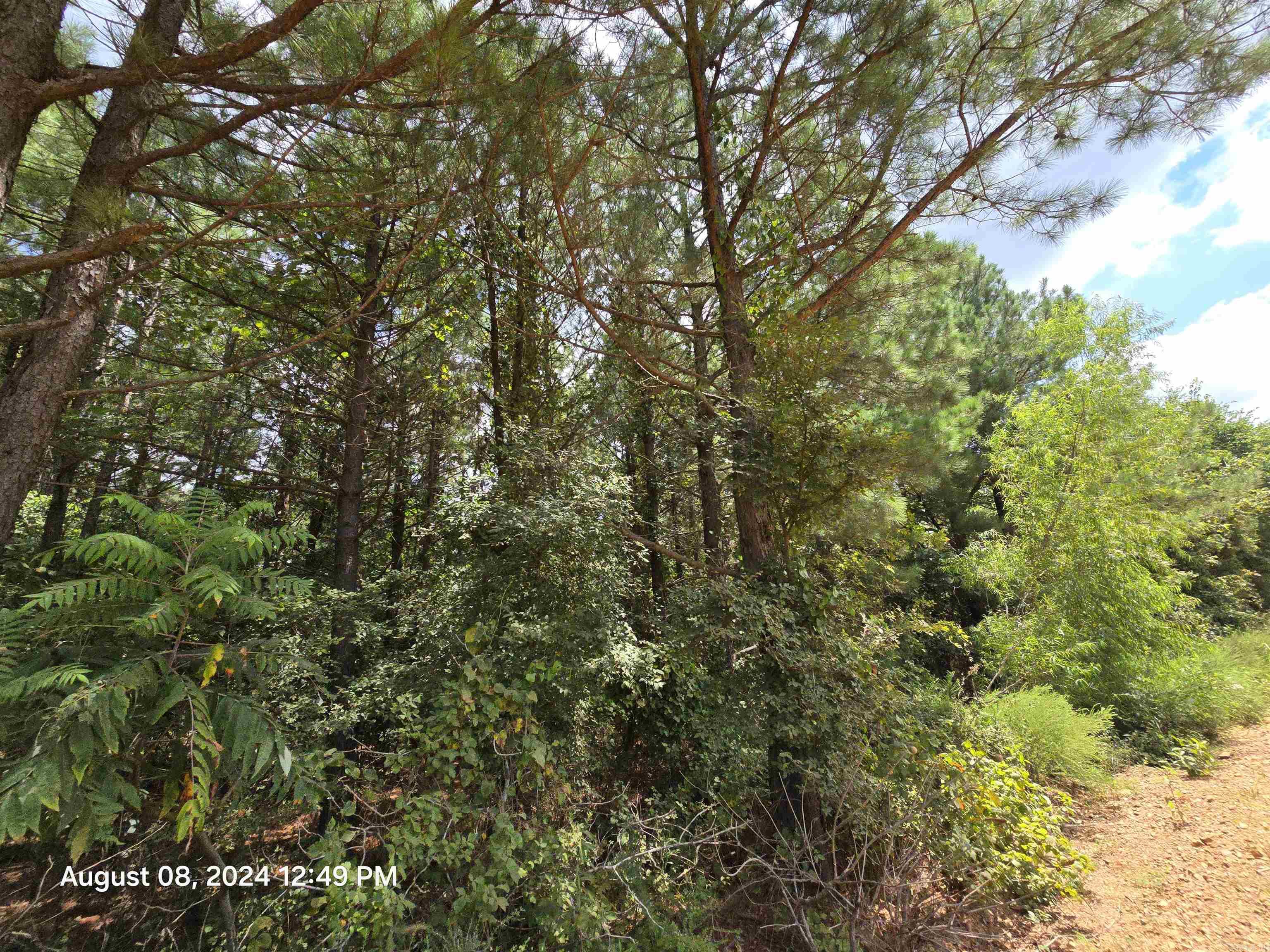 Photo 5 - Vacant Land for sale – 0  Goat Neck   Bradford, AR