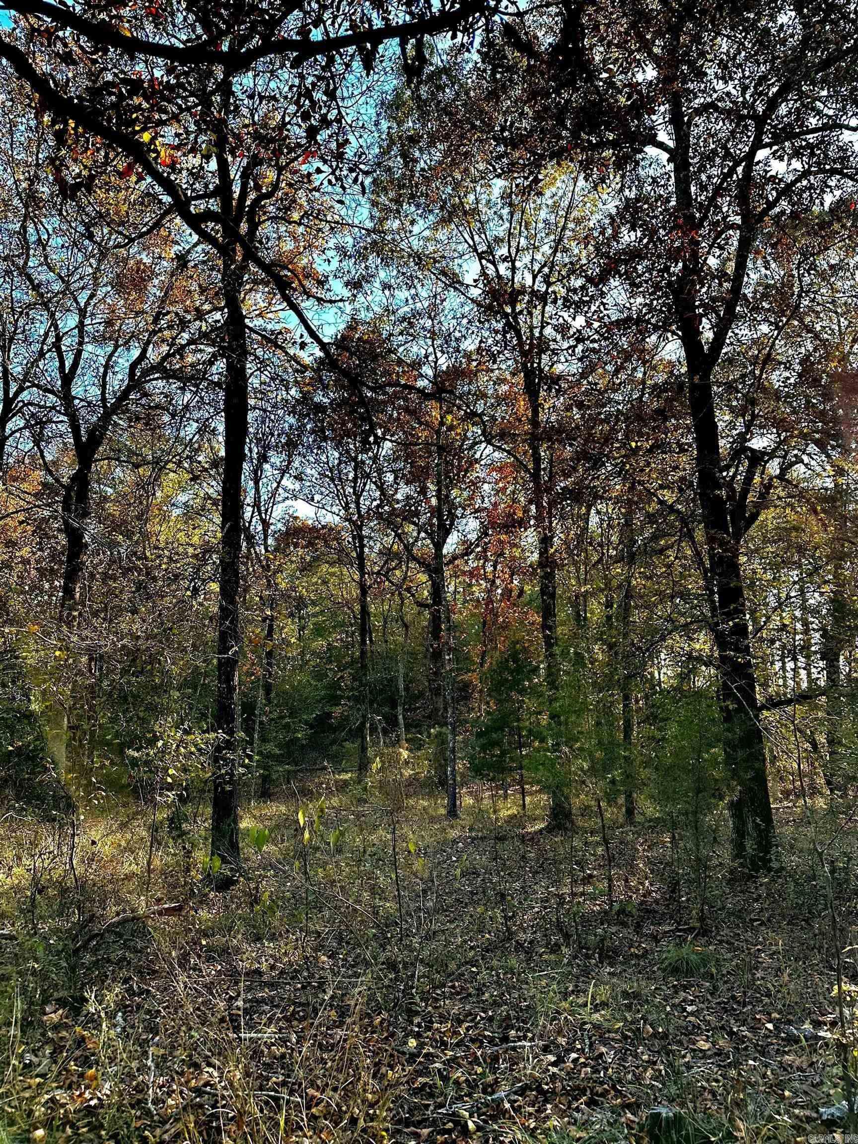 Farm/Ranch/Land for sale –  Cove, 