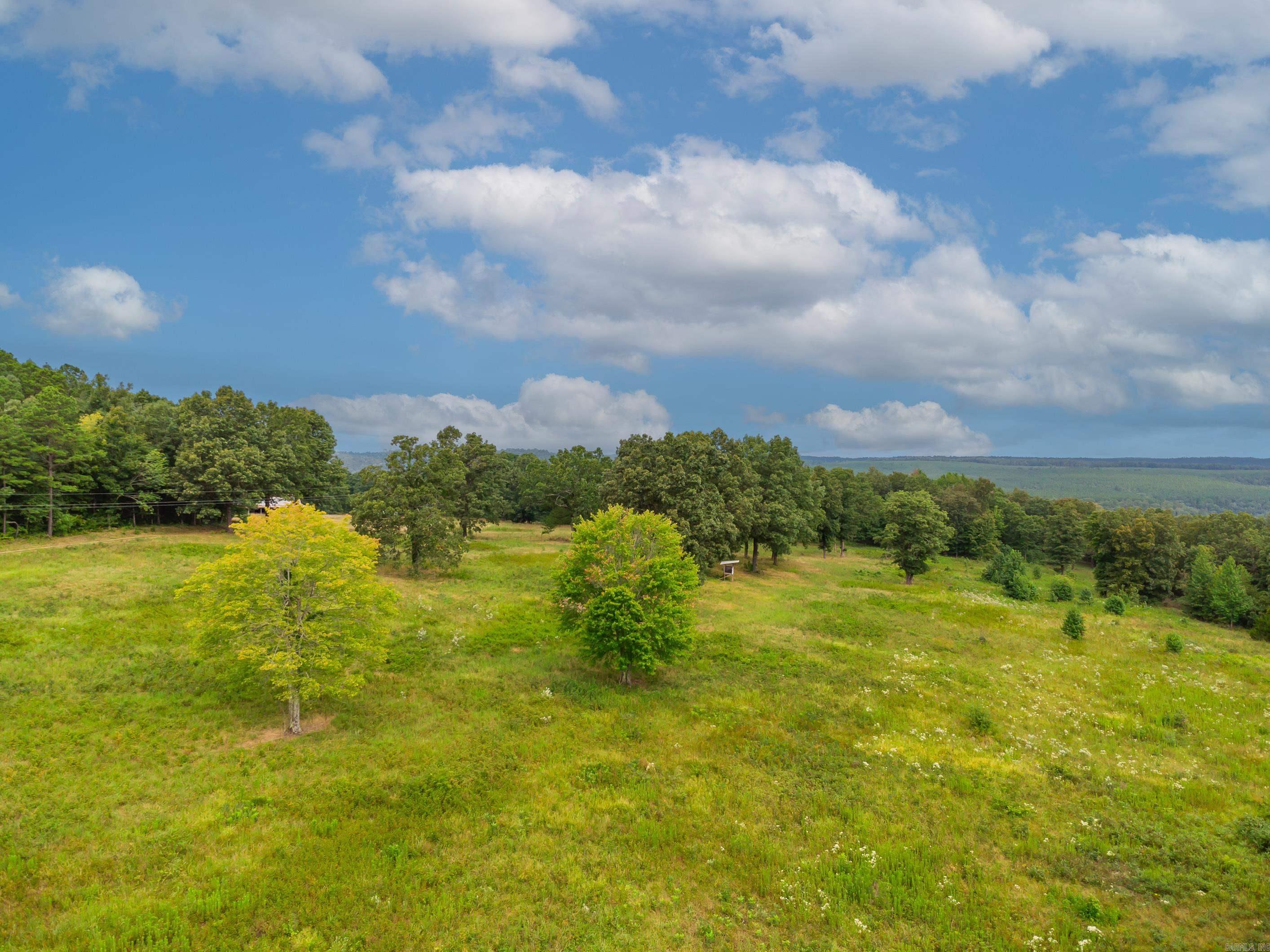 Photo 41 - Residential for sale – 279  Candy   Clinton, AR