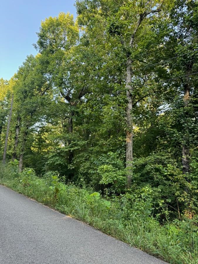 Photo 2 - Vacant Land for sale –   Woodland Hills   Hardy, AR