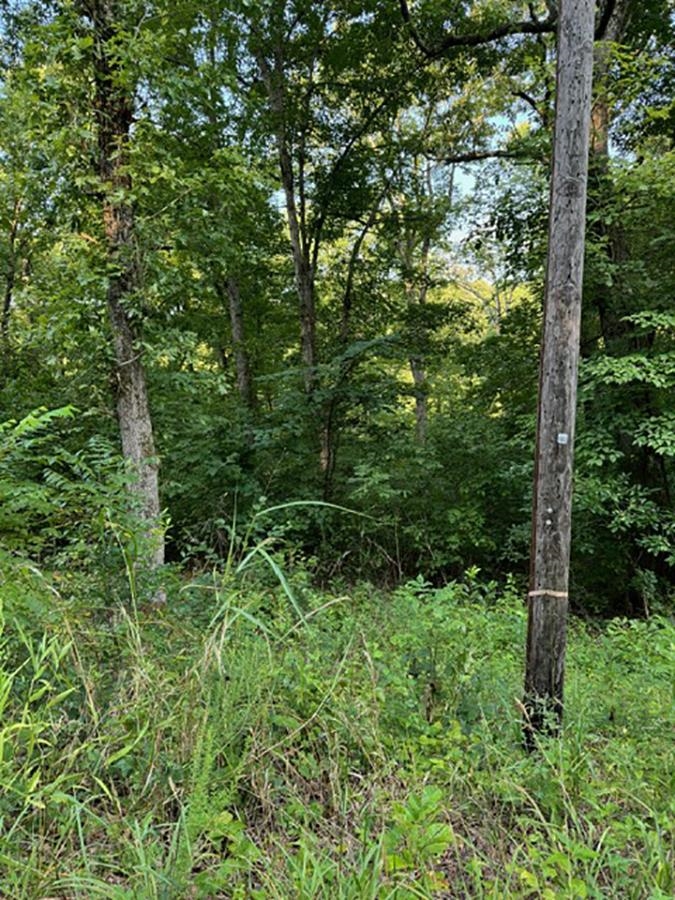 Photo 4 - Vacant Land for sale –   Woodland Hills   Hardy, AR