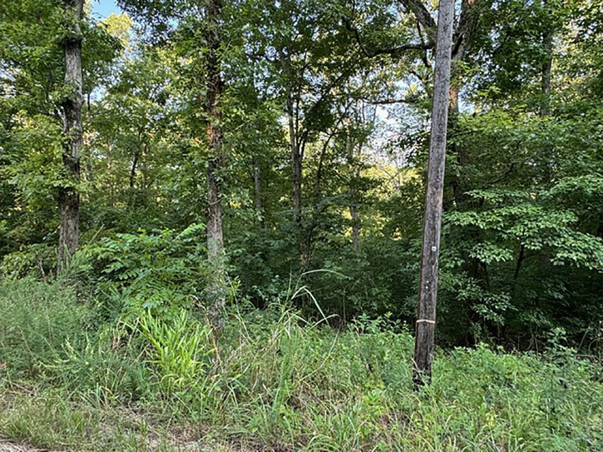 Photo 5 - Vacant Land for sale –   Woodland Hills   Hardy, AR