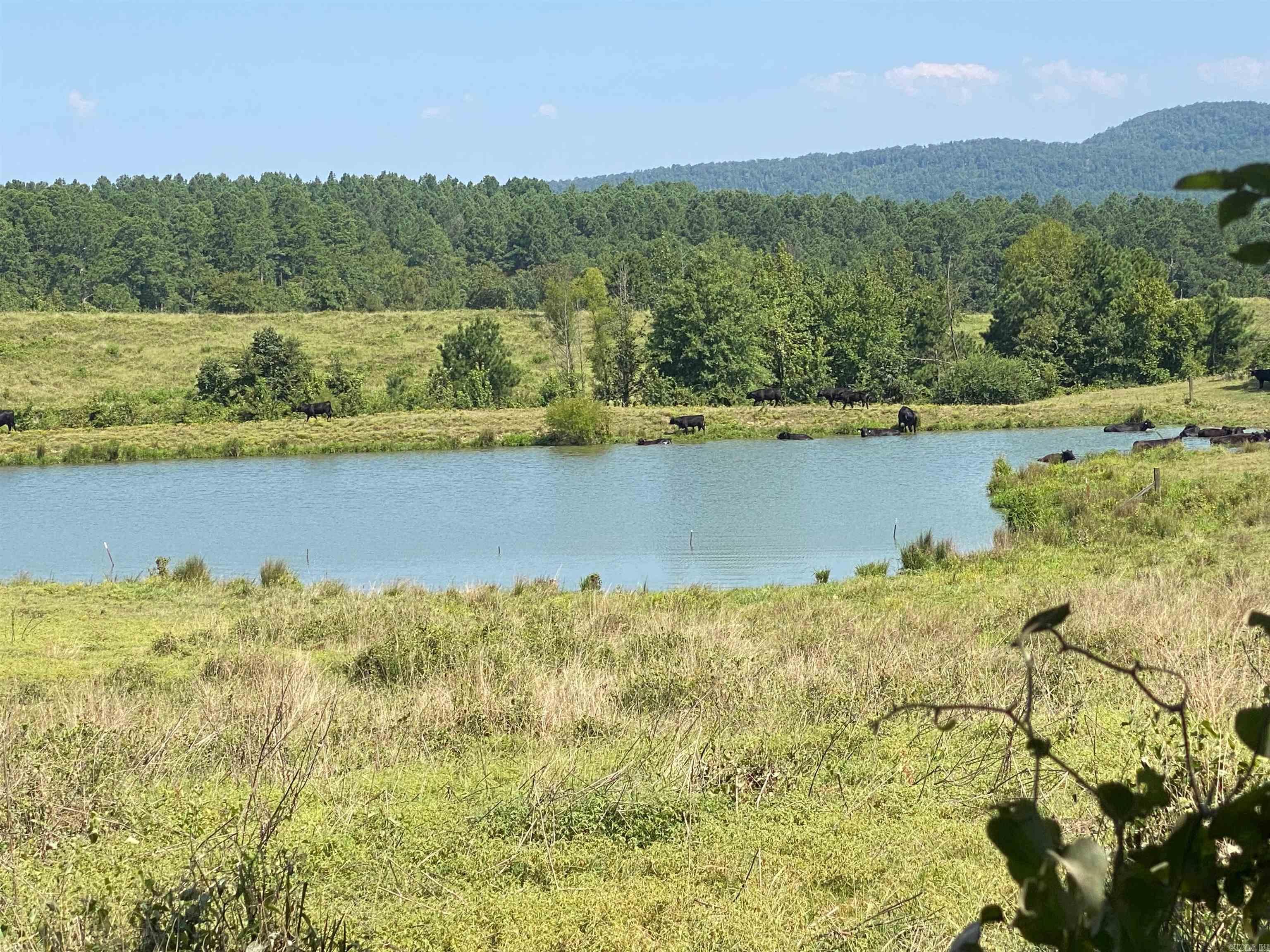 Vacant Land for sale – To Be Determine  Old Caddo Gap Road   Bonnerdale, AR