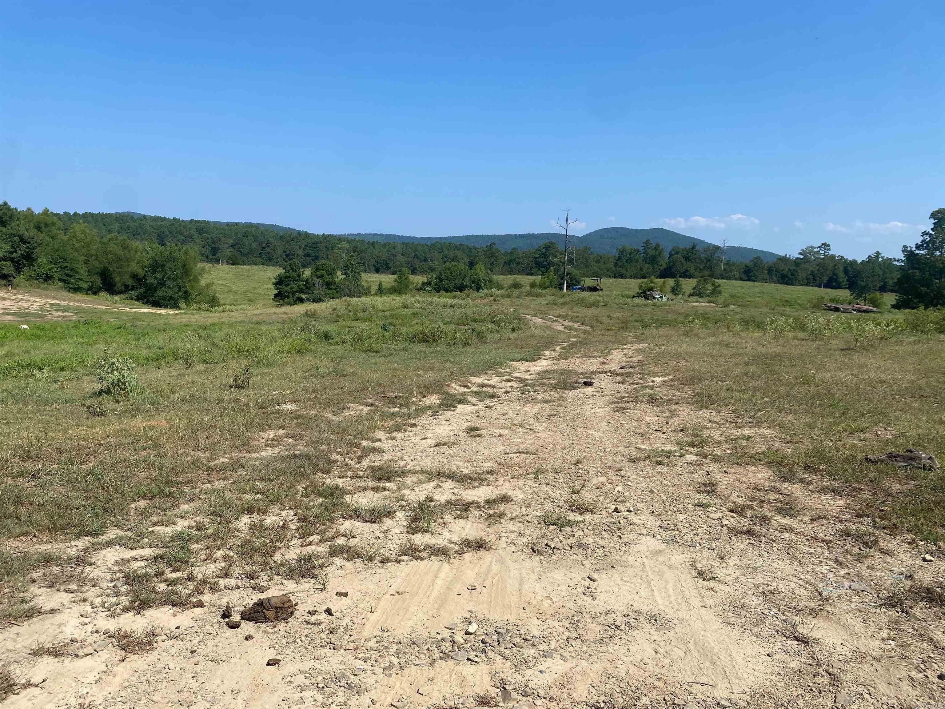 Photo 2 - Vacant Land for sale – To Be Determine  Old Caddo Gap Road   Bonnerdale, AR