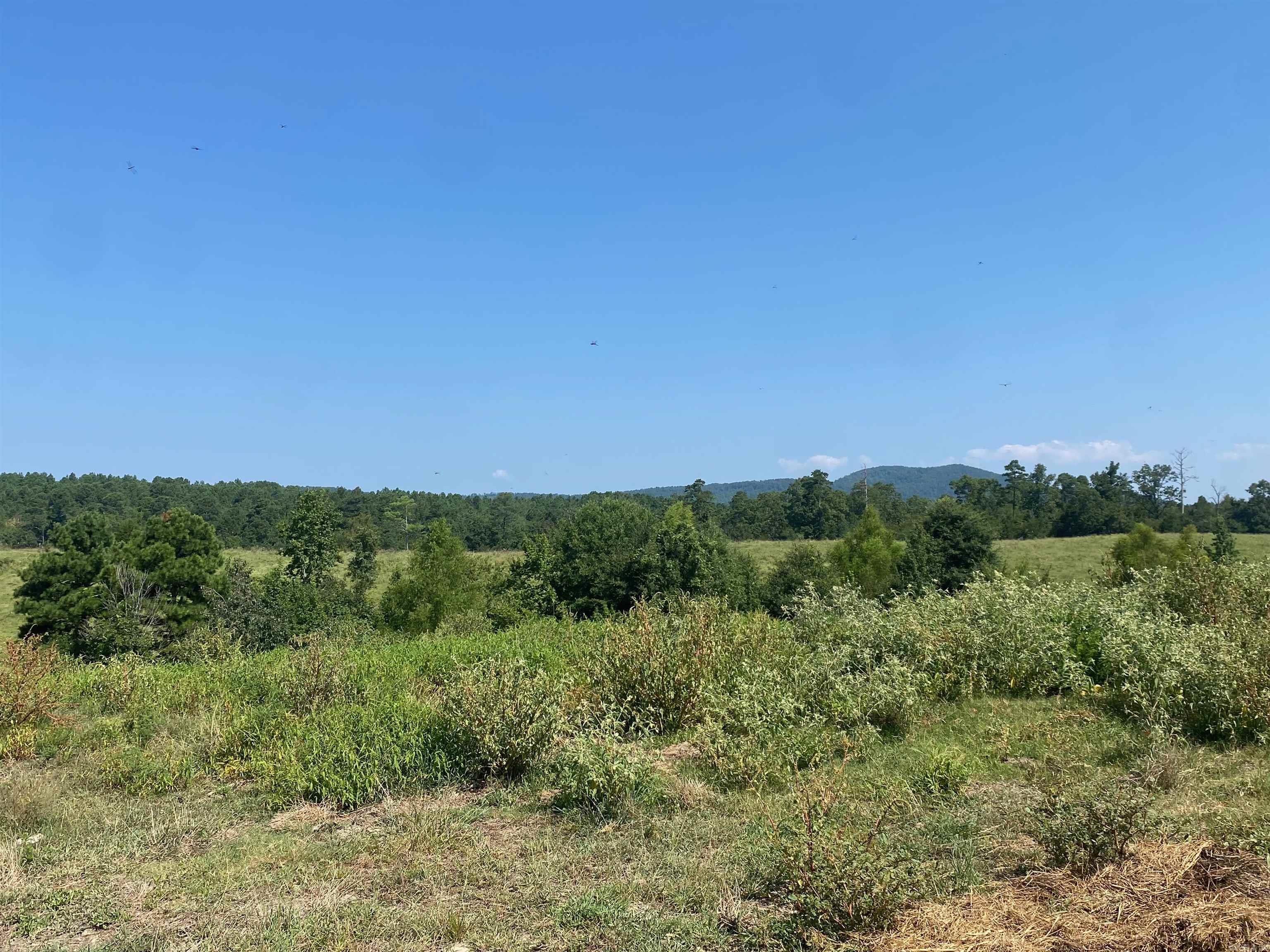 Photo 11 - Vacant Land for sale – To Be Determine  Old Caddo Gap Road   Bonnerdale, AR