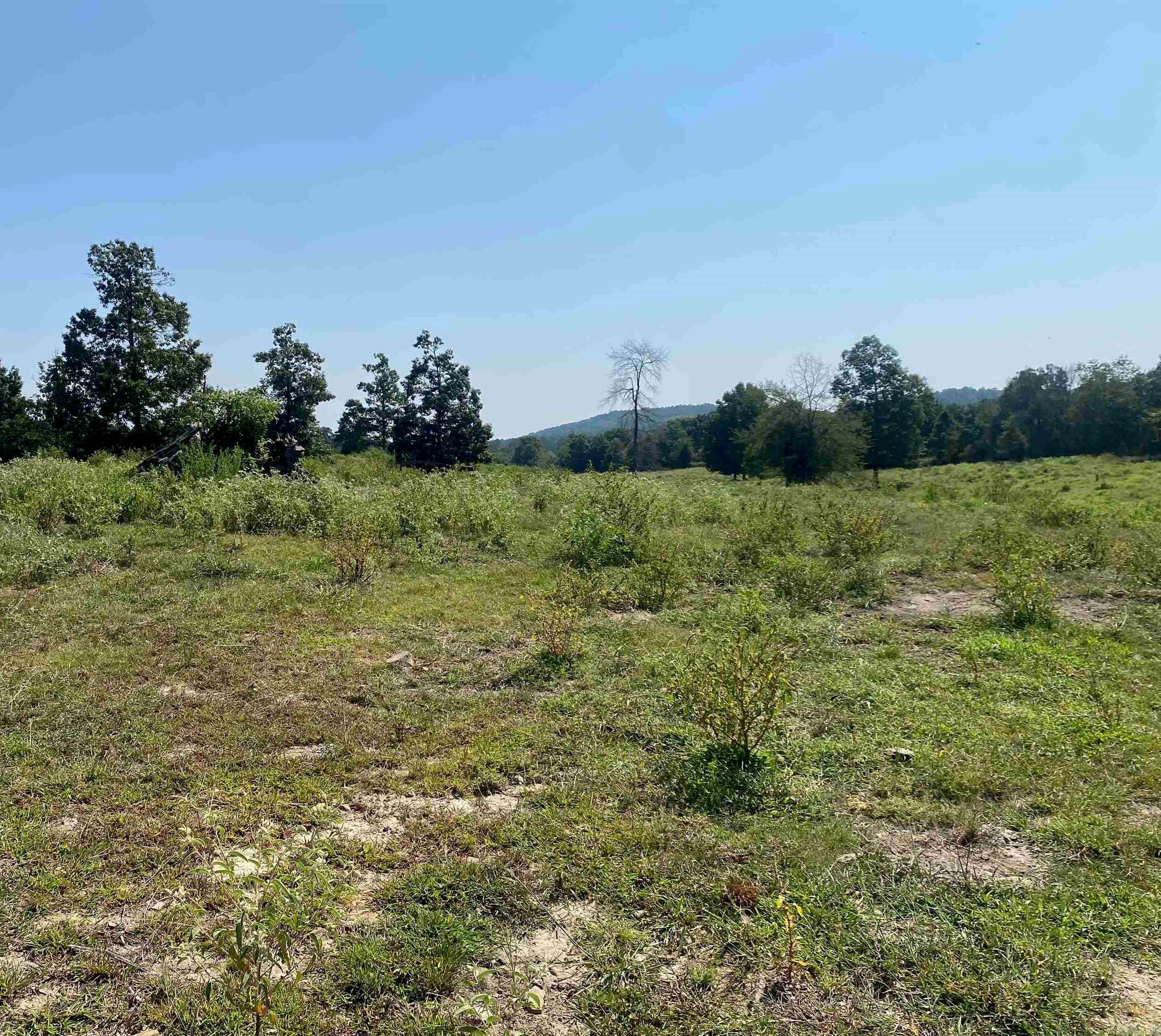 Photo 13 - Vacant Land for sale – To Be Determine  Old Caddo Gap Road   Bonnerdale, AR