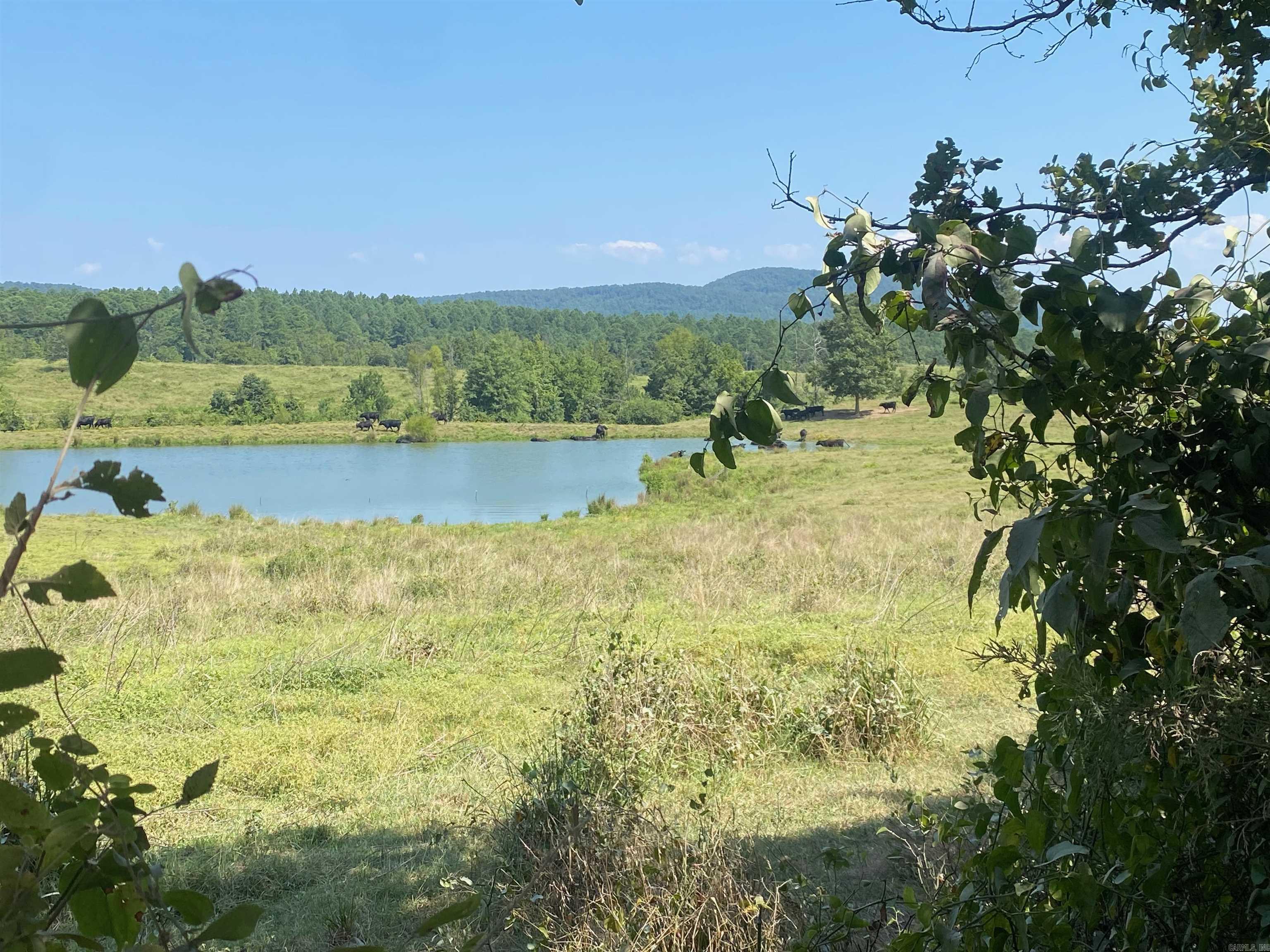 Photo 18 - Vacant Land for sale – To Be Determine  Old Caddo Gap Road   Bonnerdale, AR