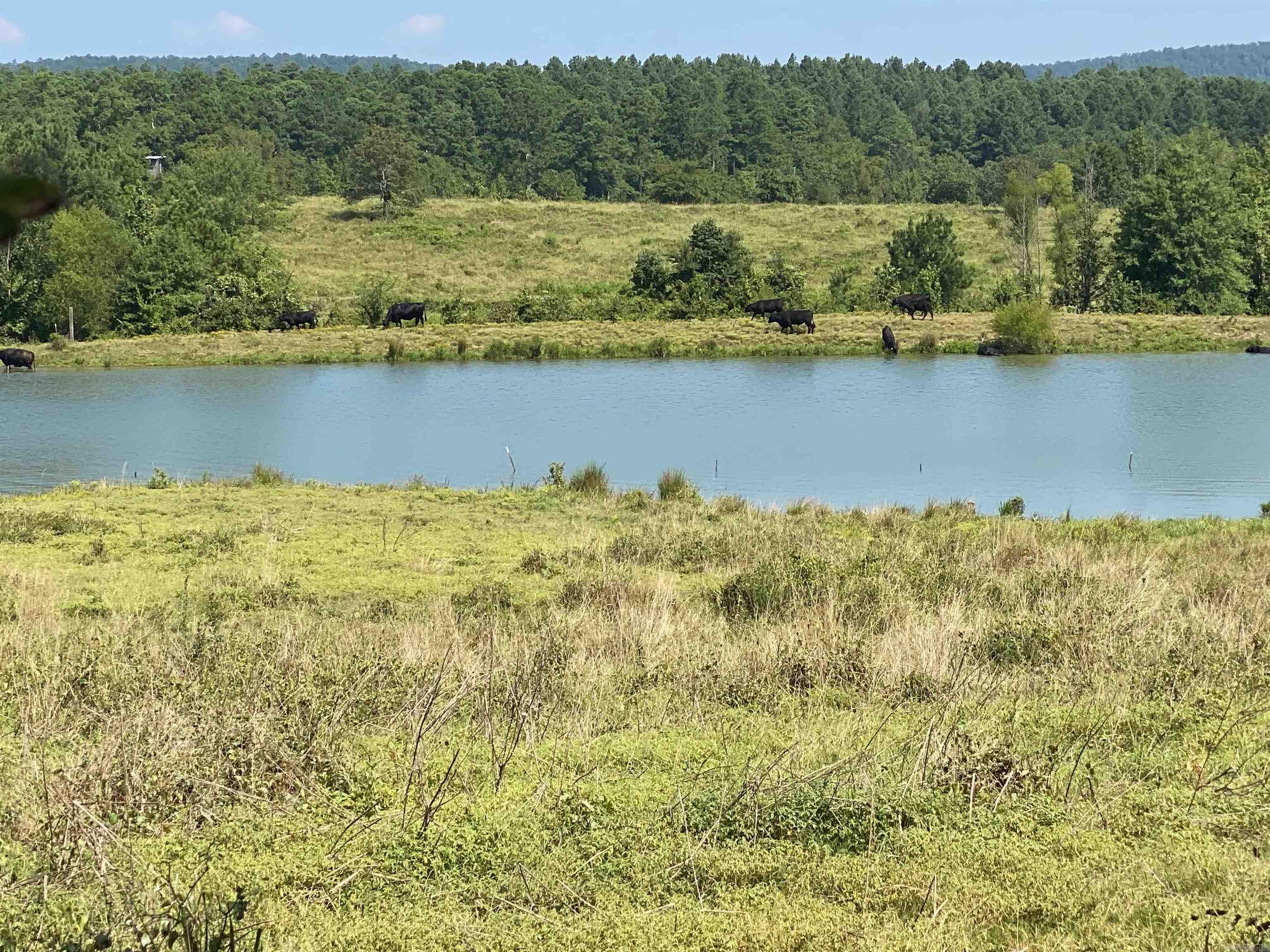 Photo 19 - Vacant Land for sale – To Be Determine  Old Caddo Gap Road   Bonnerdale, AR