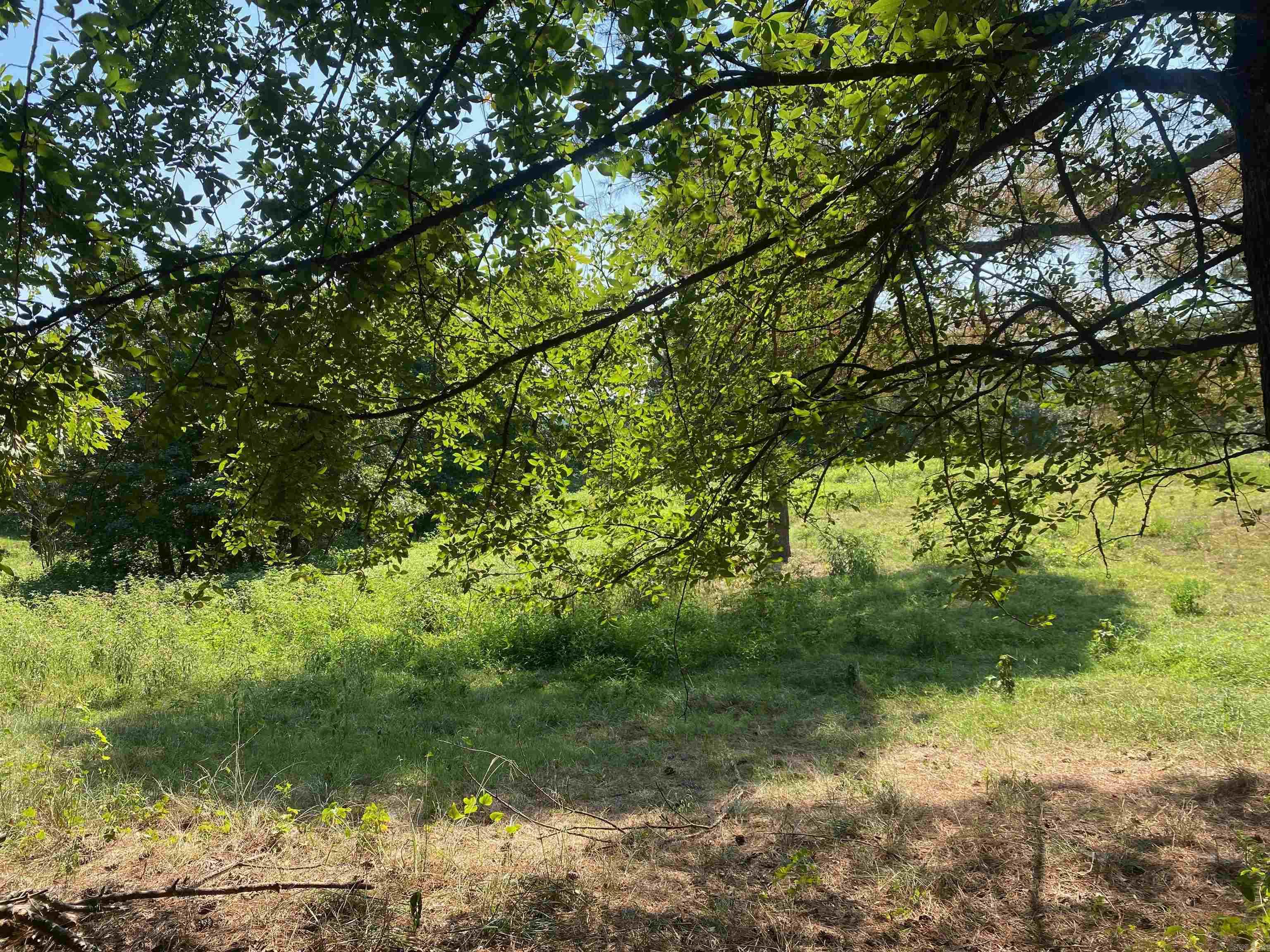 Photo 3 - Vacant Land for sale – To Be Determine  Old Caddo Gap Road   Bonnerdale, AR