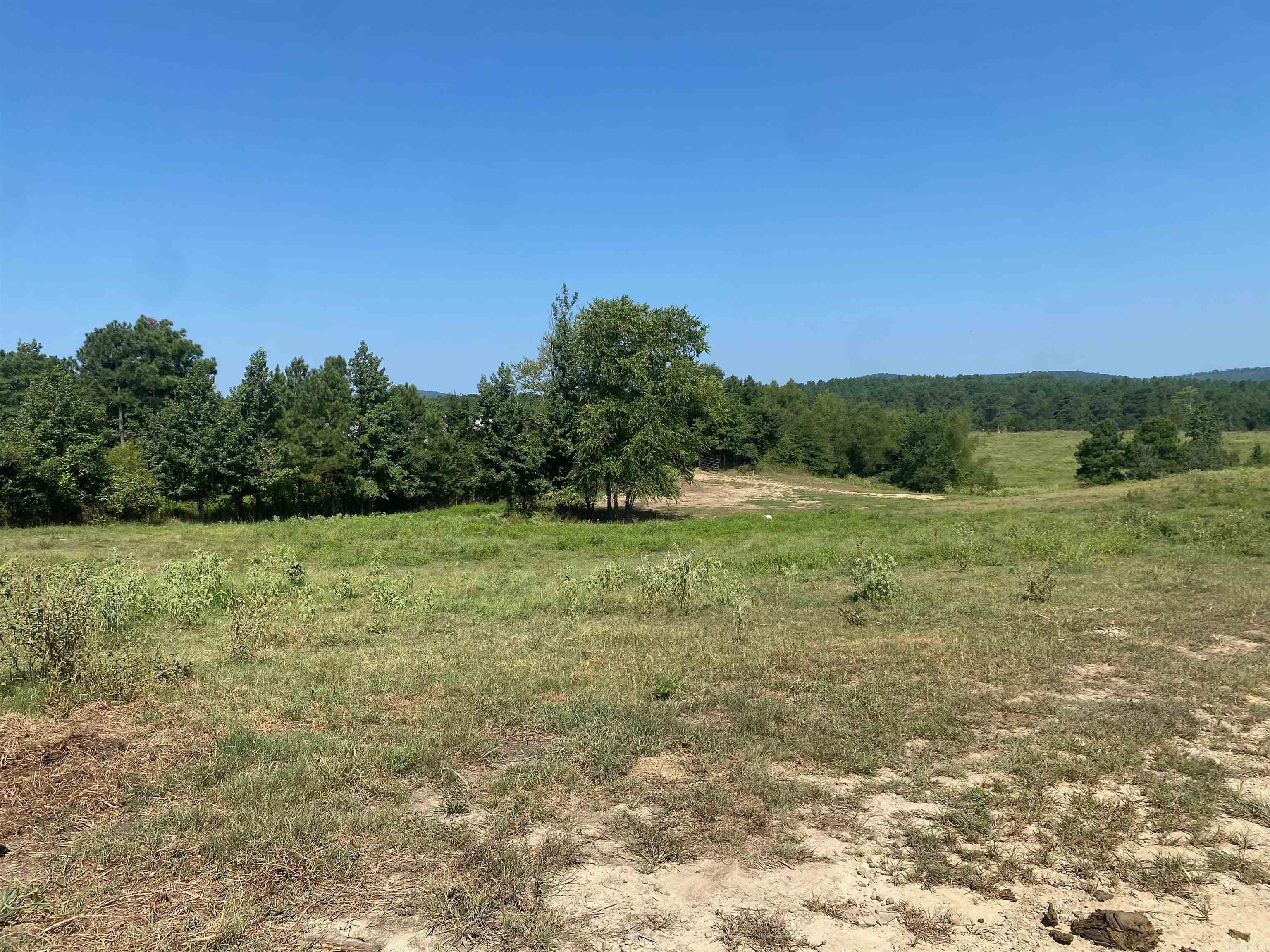 Photo 4 - Vacant Land for sale – To Be Determine  Old Caddo Gap Road   Bonnerdale, AR