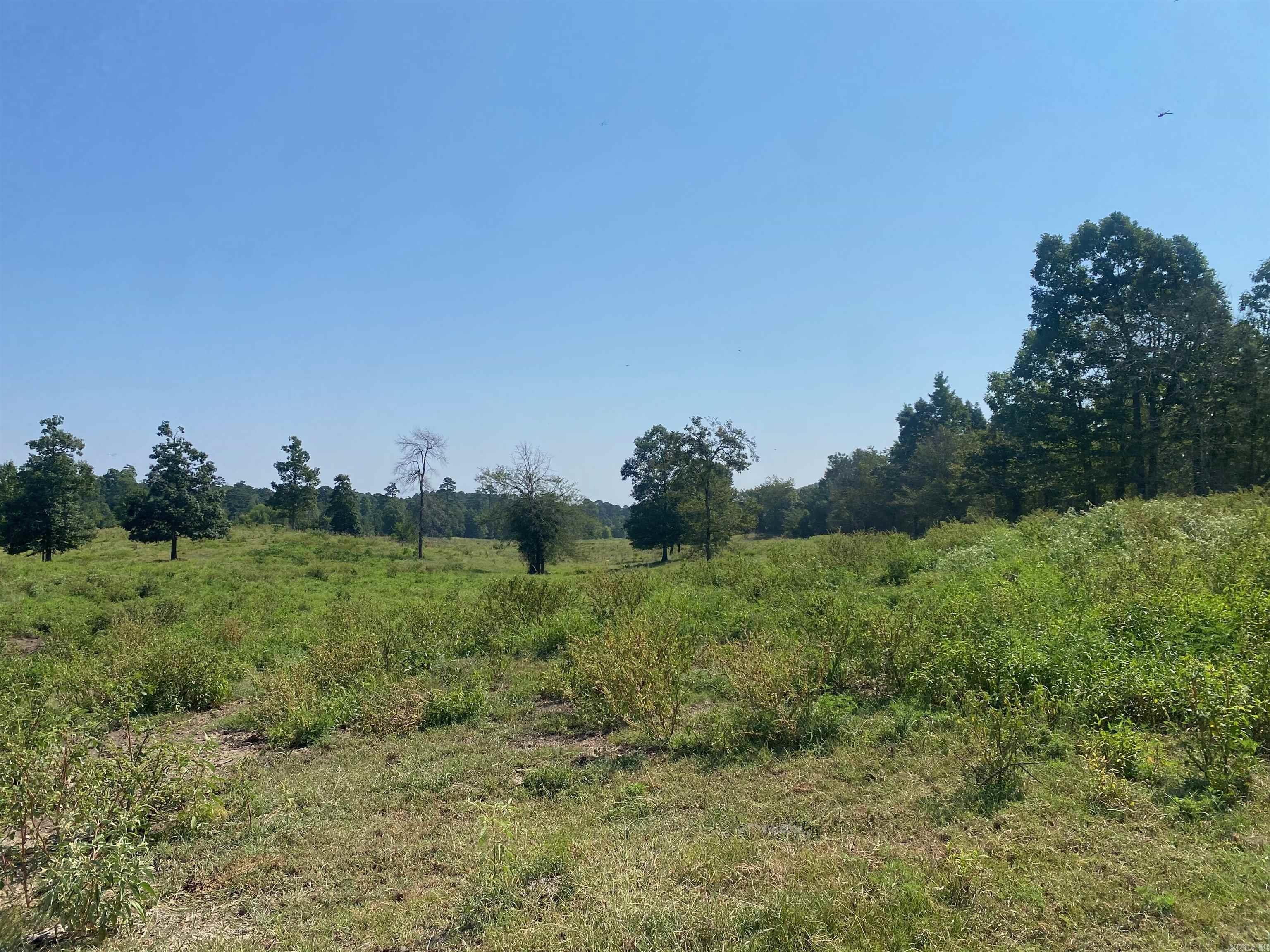 Photo 9 - Vacant Land for sale – To Be Determine  Old Caddo Gap Road   Bonnerdale, AR